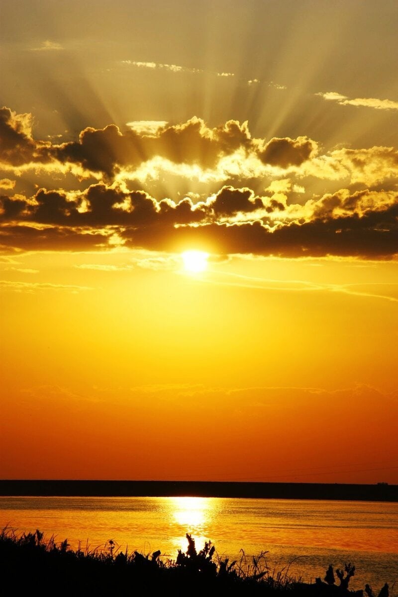 ⁣Legarden - Melody Sparkles #76