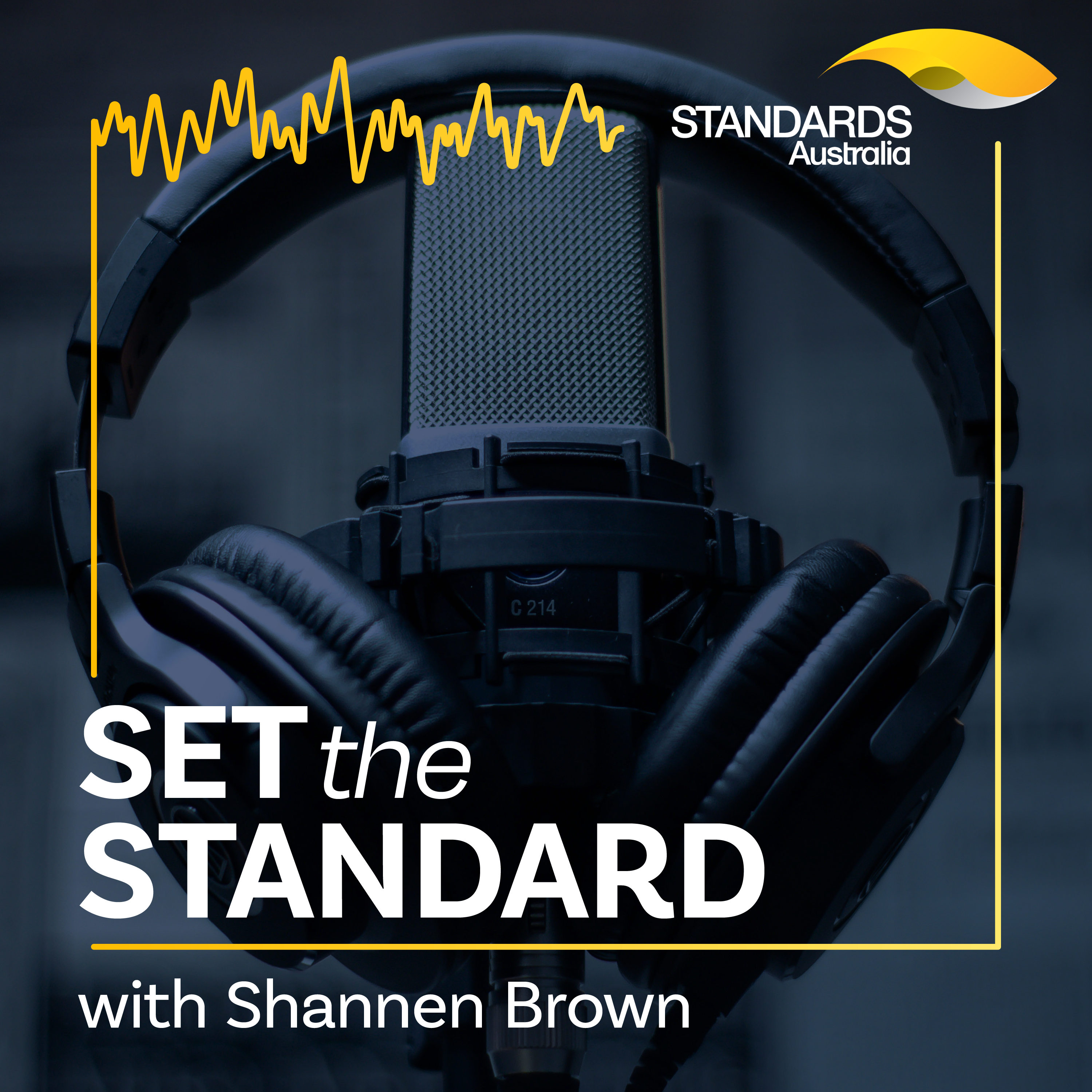 Set the Standard with Shannen Brown 