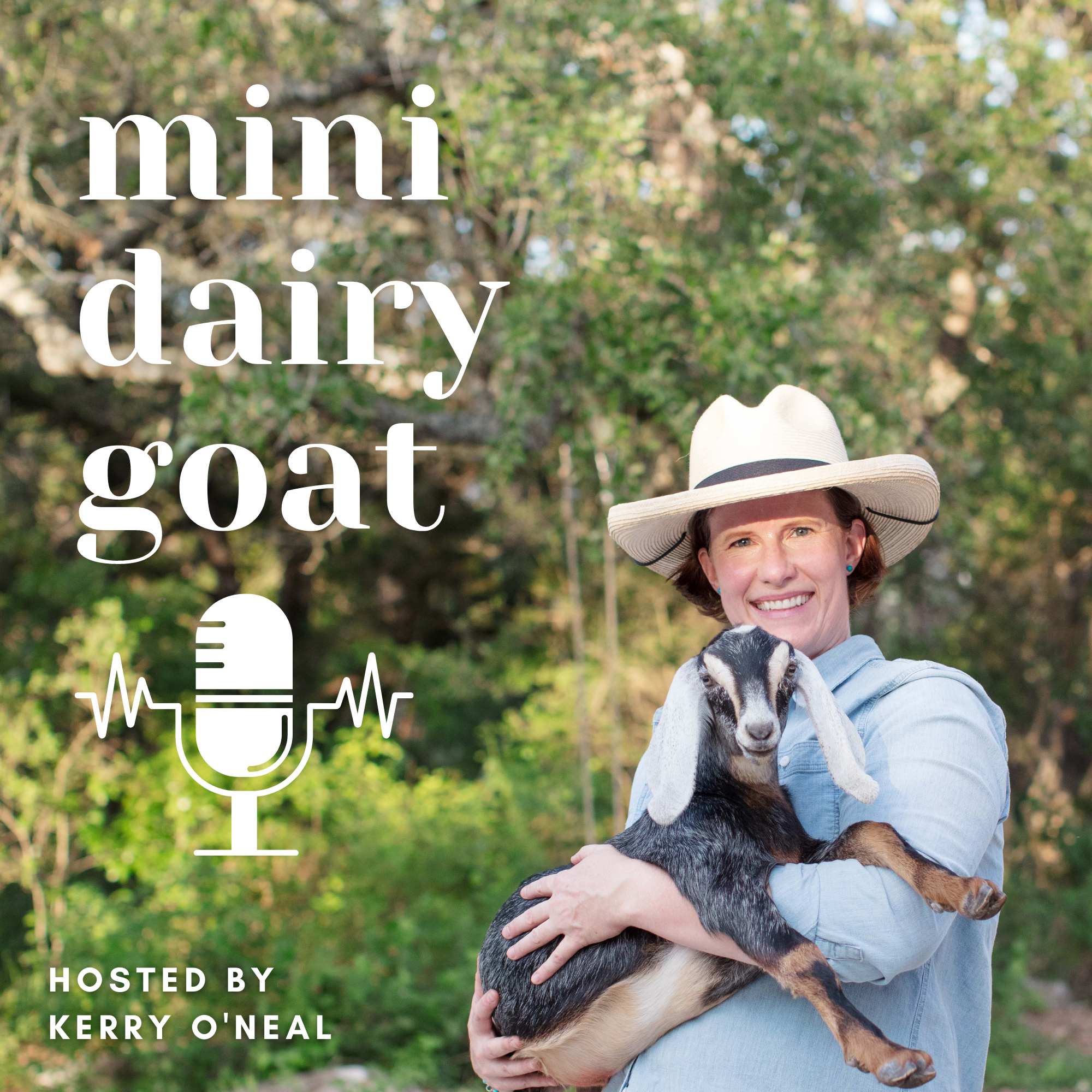 Mini Dairy Goat Podcast 