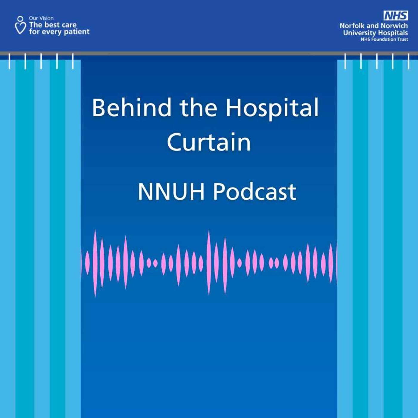 Behind the Hospital Curtain 