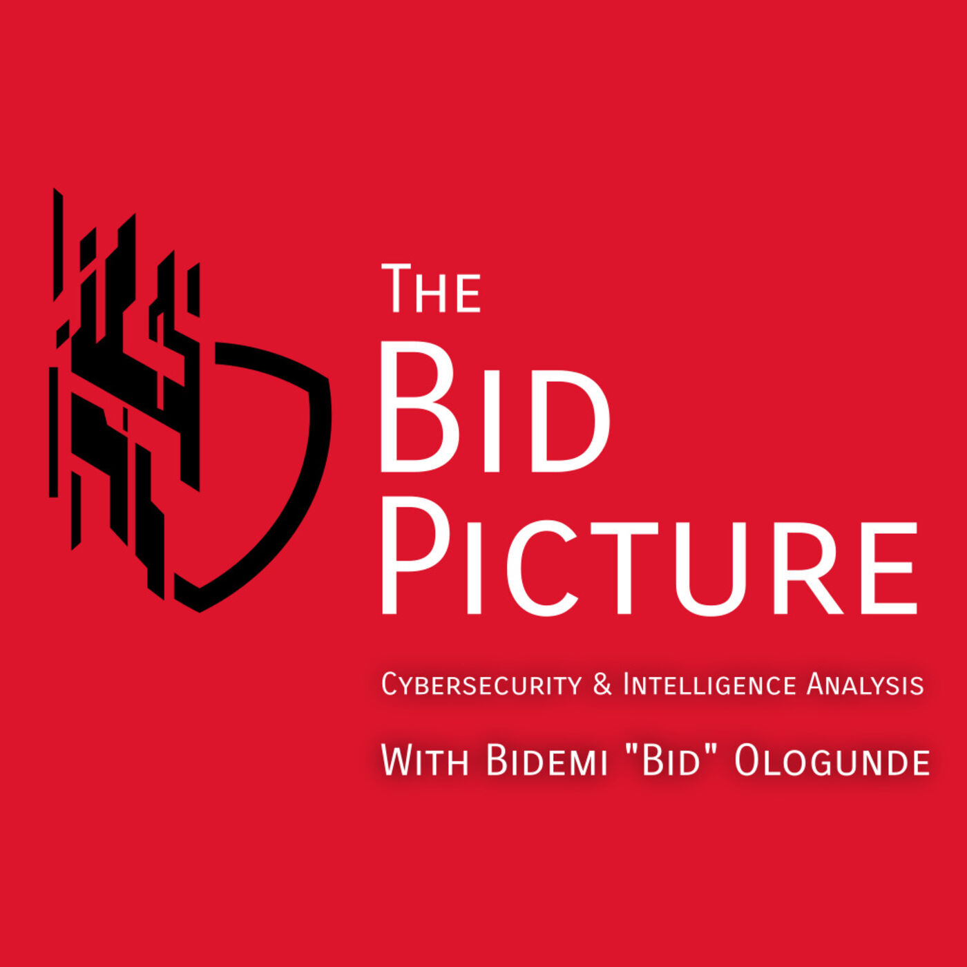 The Bid Picture - Cybersecurity & Intelligence Analysis 