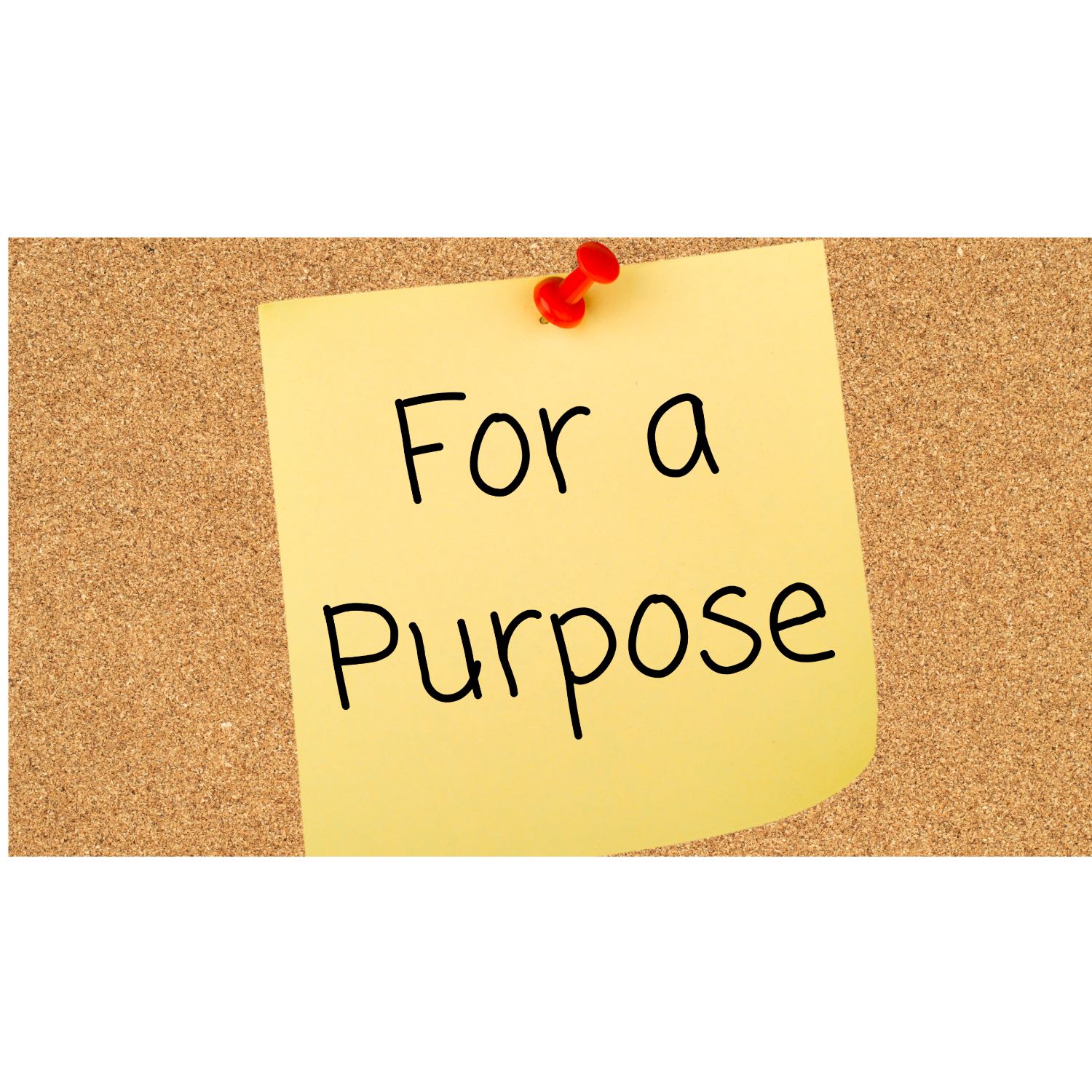 For a Purpose Sunday August 13, 2023