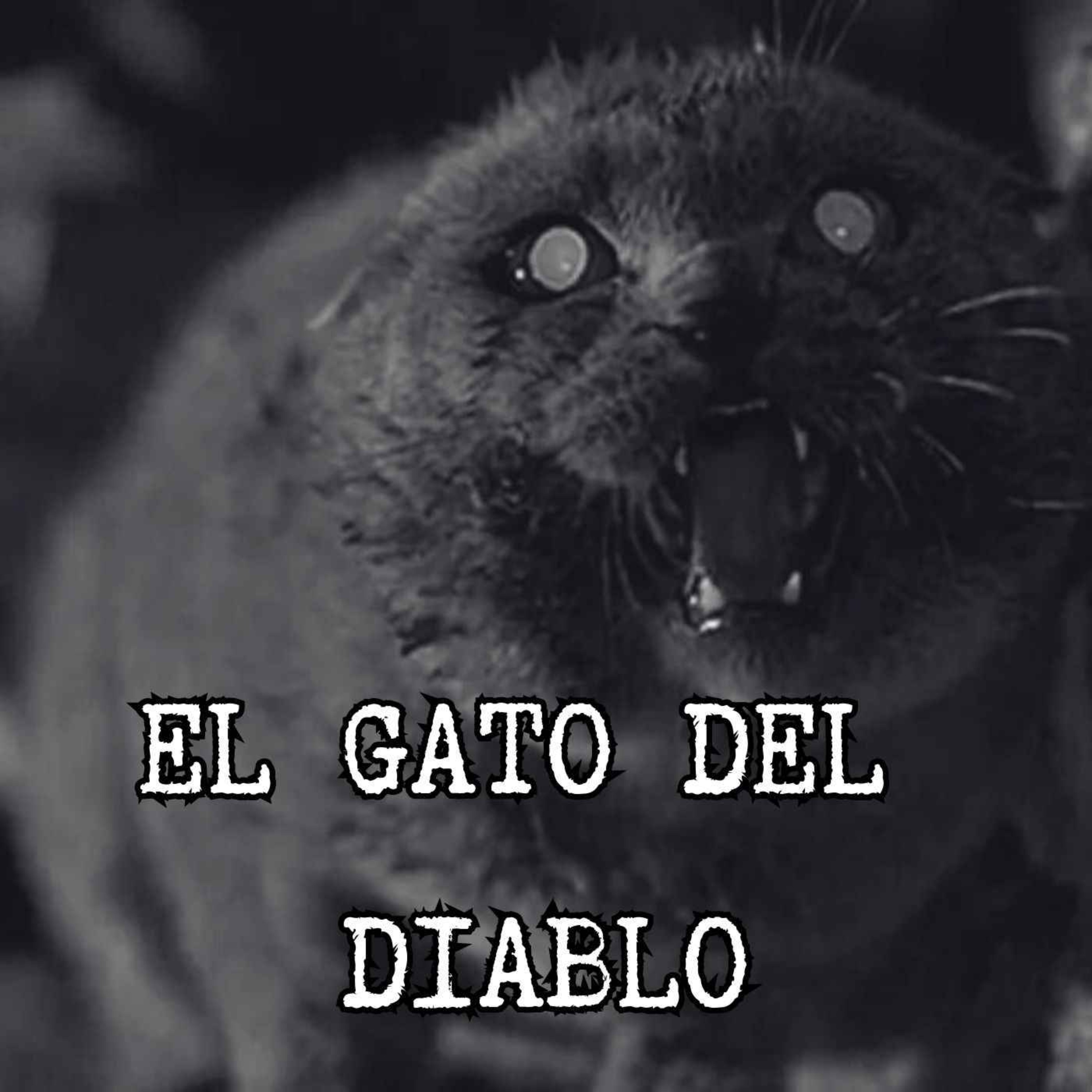 ⁣EL GATO DEL DIABLO