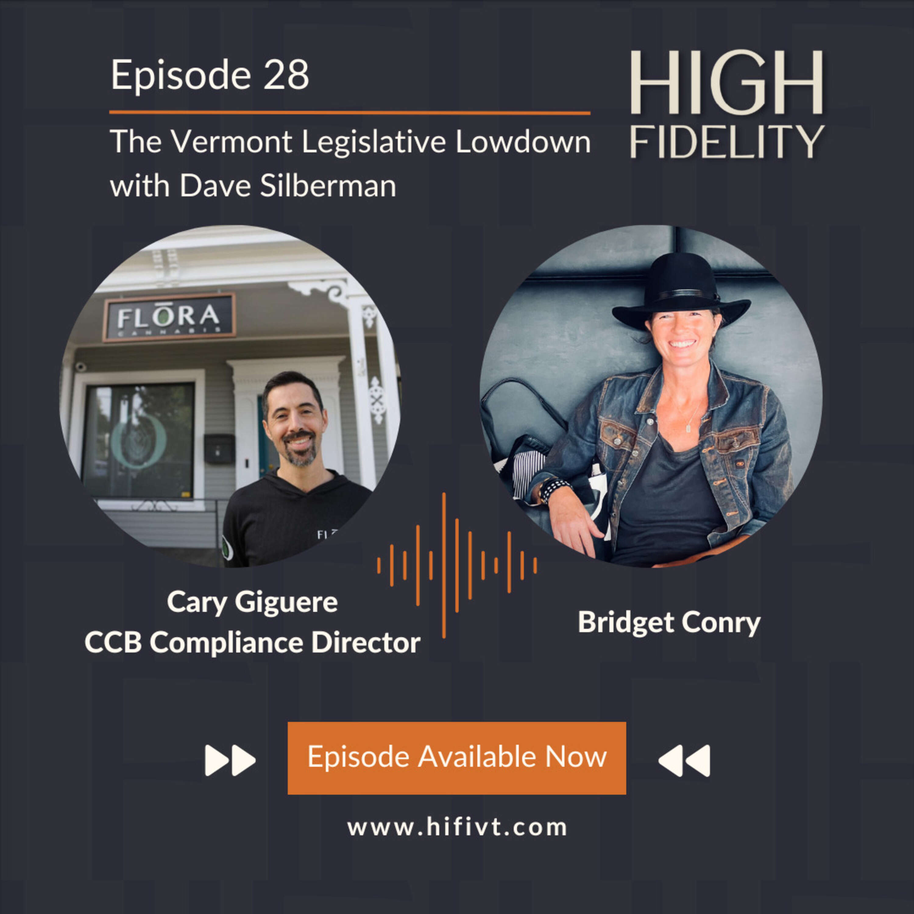 Episode 28 | The Vermont Legislative Lowdown with Dave Silberman