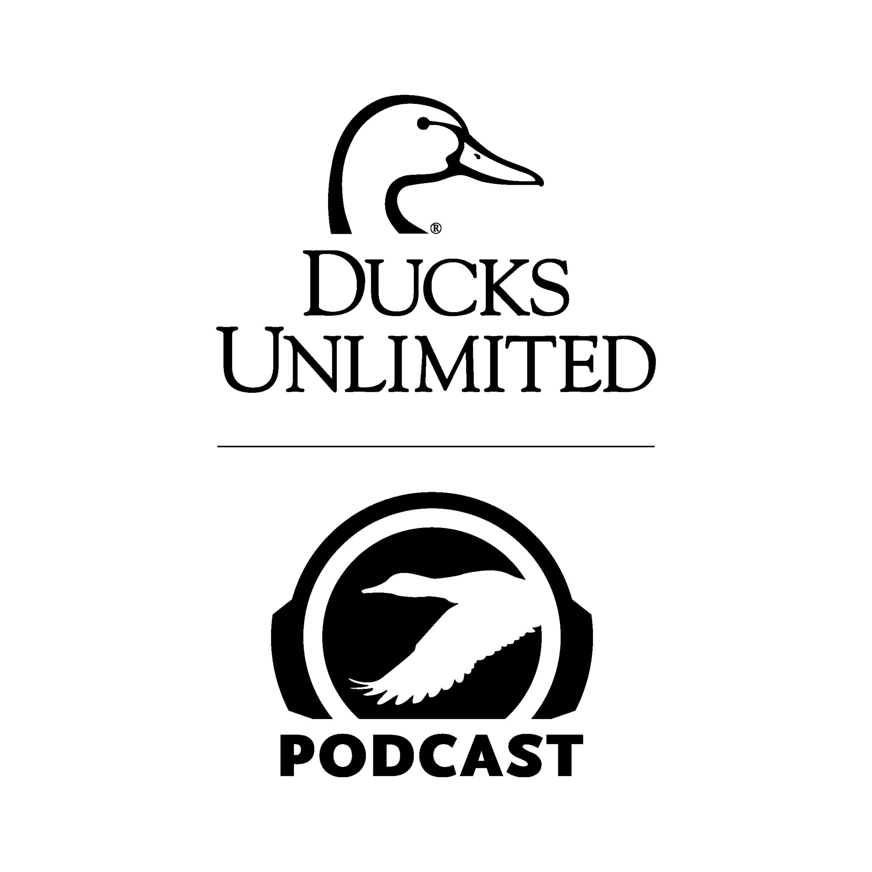 Ep. 492 - Ducks, Stamps, Art, and Conservation — Behind the Scenes