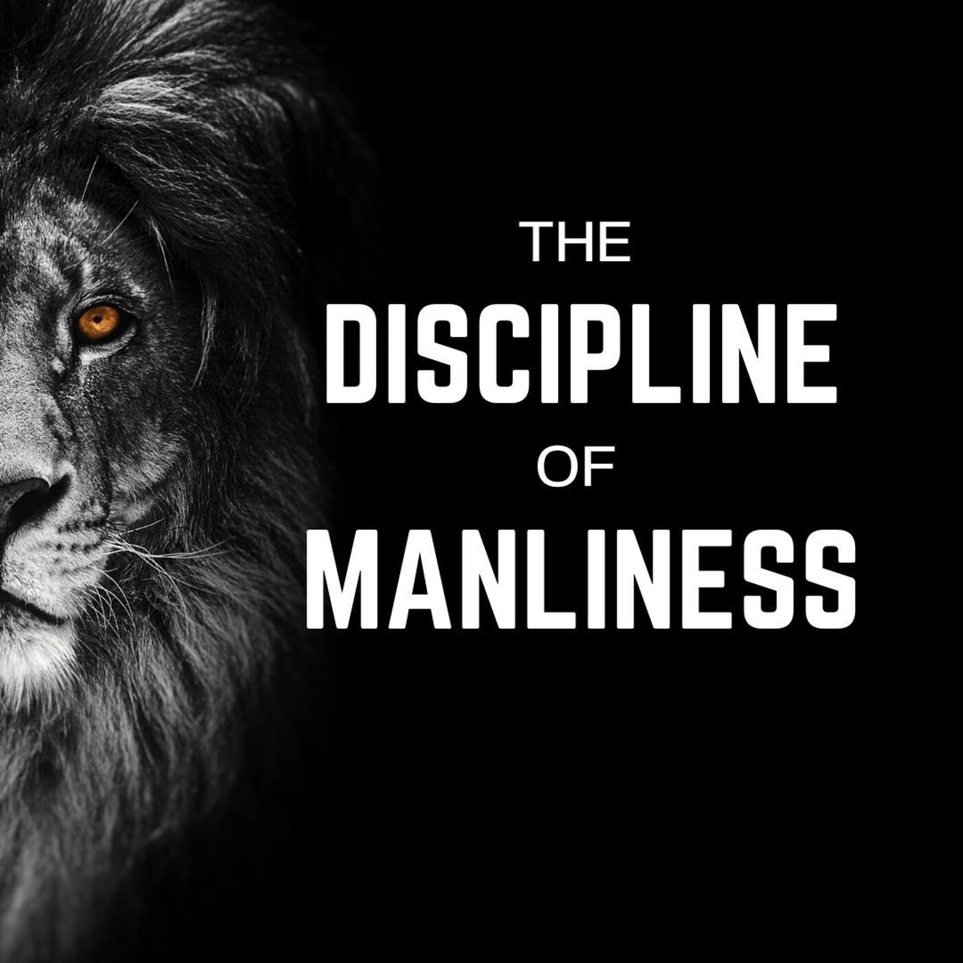 The Discipline of Manliness 