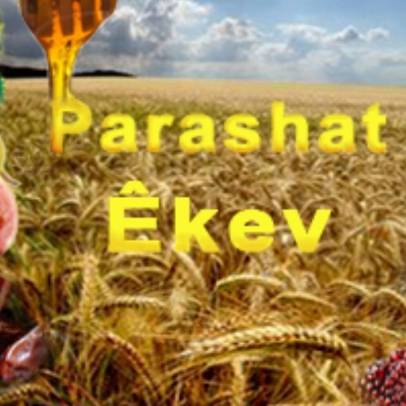 ⁣Parasha Eikev: Deut 7:12-11:25