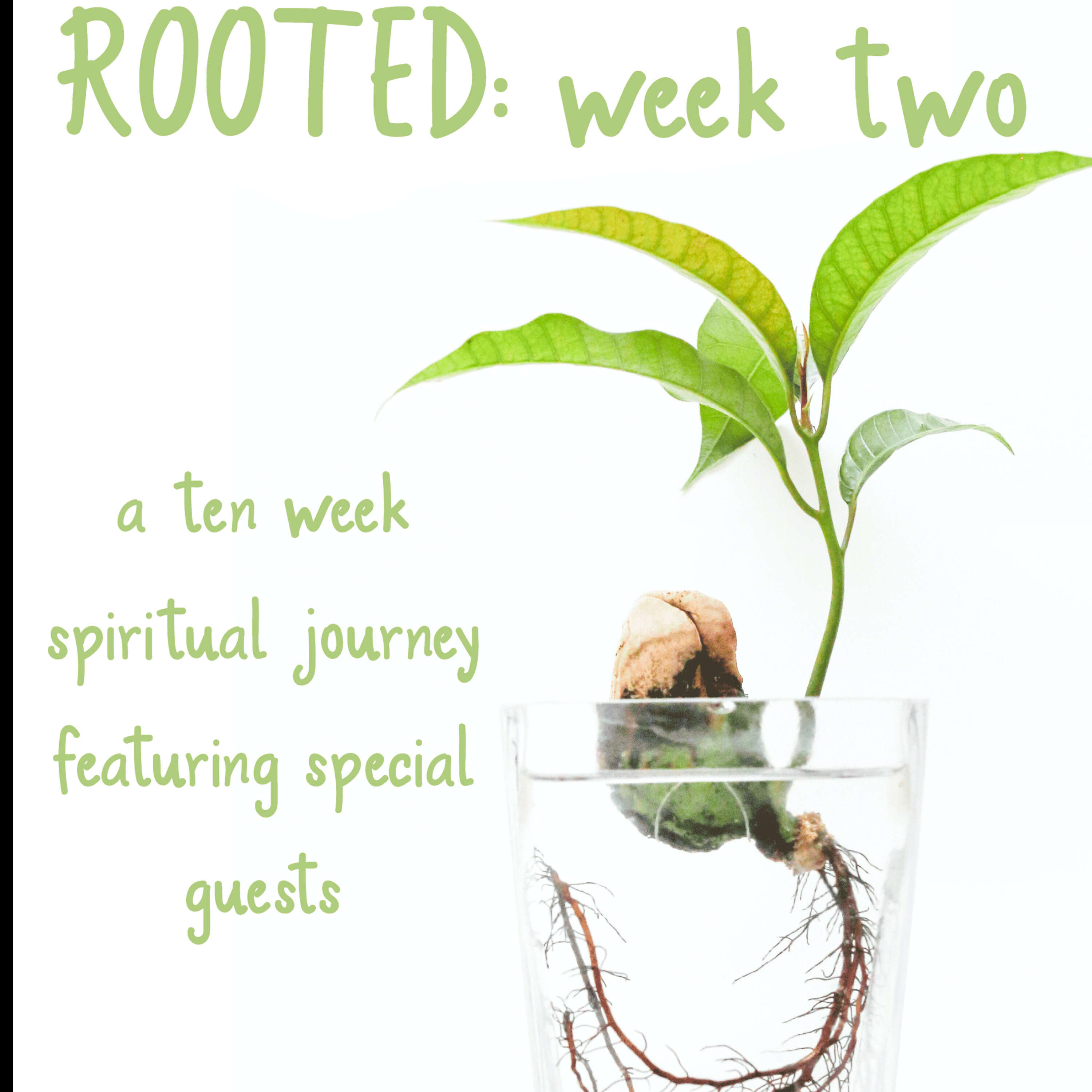 Rooted Week 2 "Who is God?" -John Joins