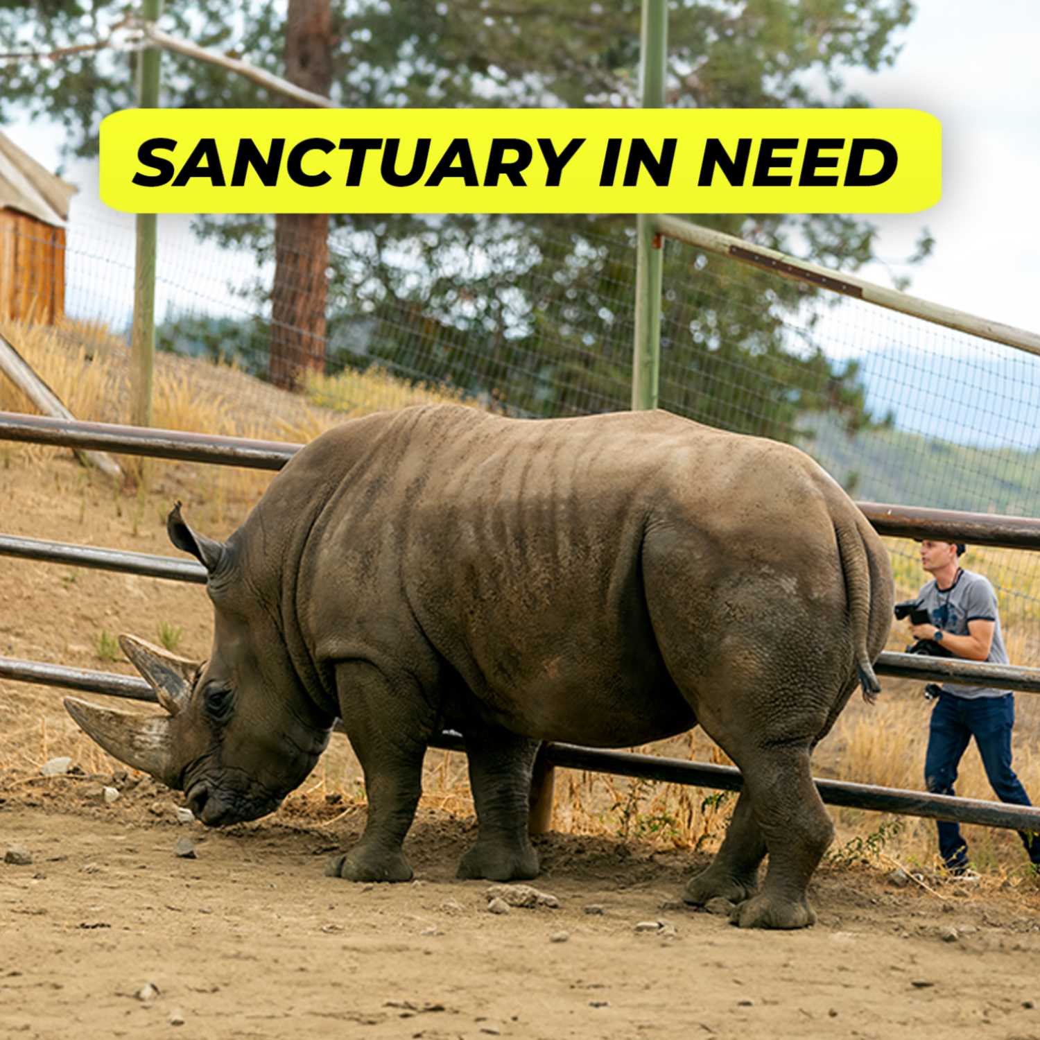 Sanctuary in need ! | DroneCast on a MISSION