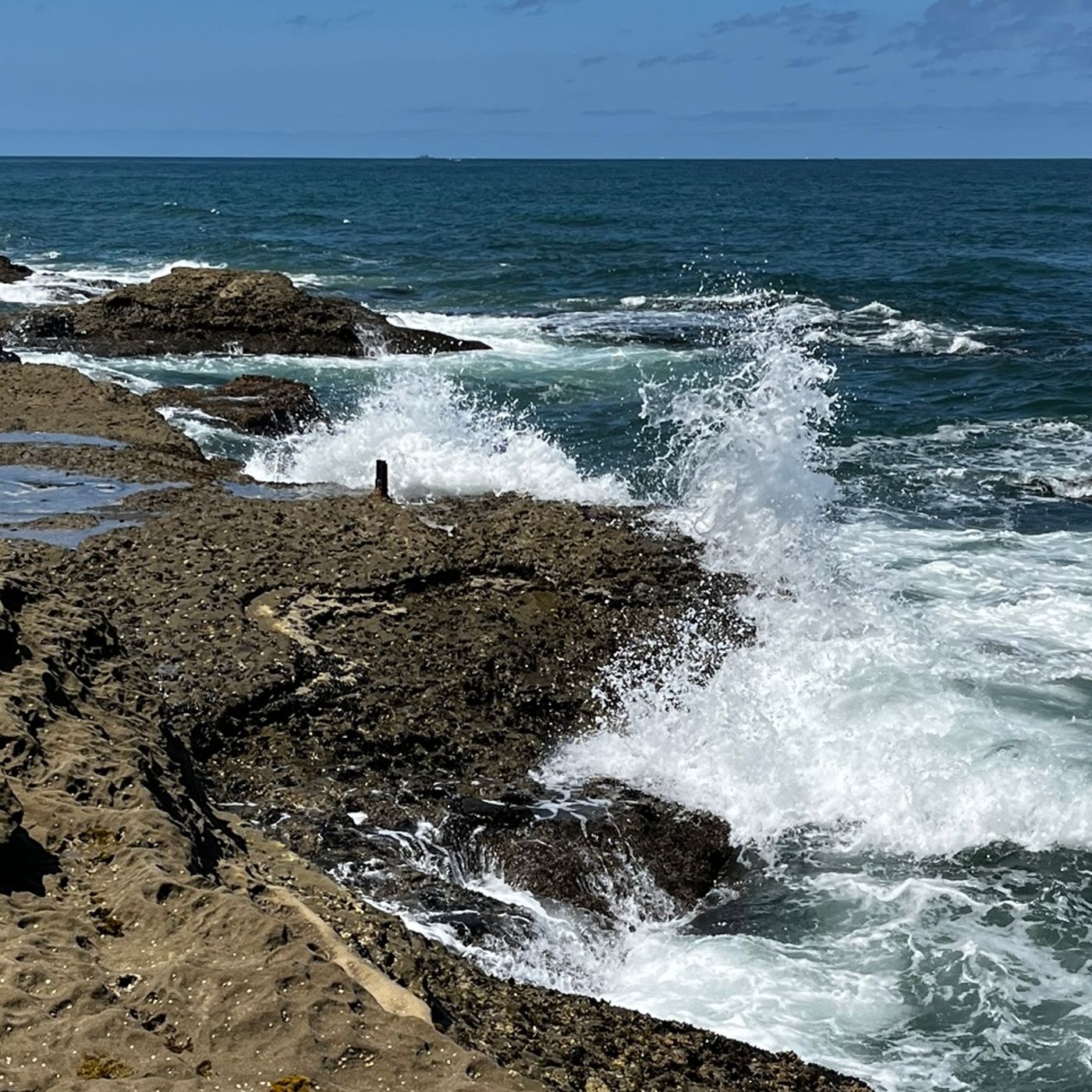 Boomer Island Podcast 