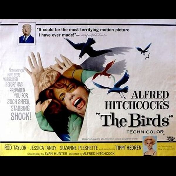 ⁣The Birds (1963)