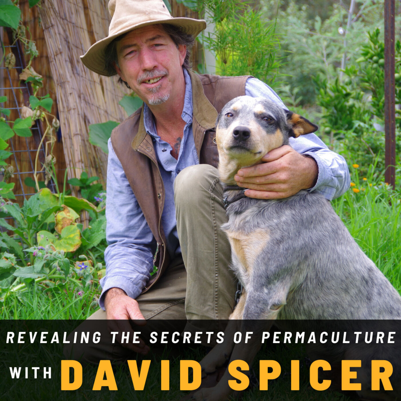 Revealing the Secrets of Permaculture with David Spicer