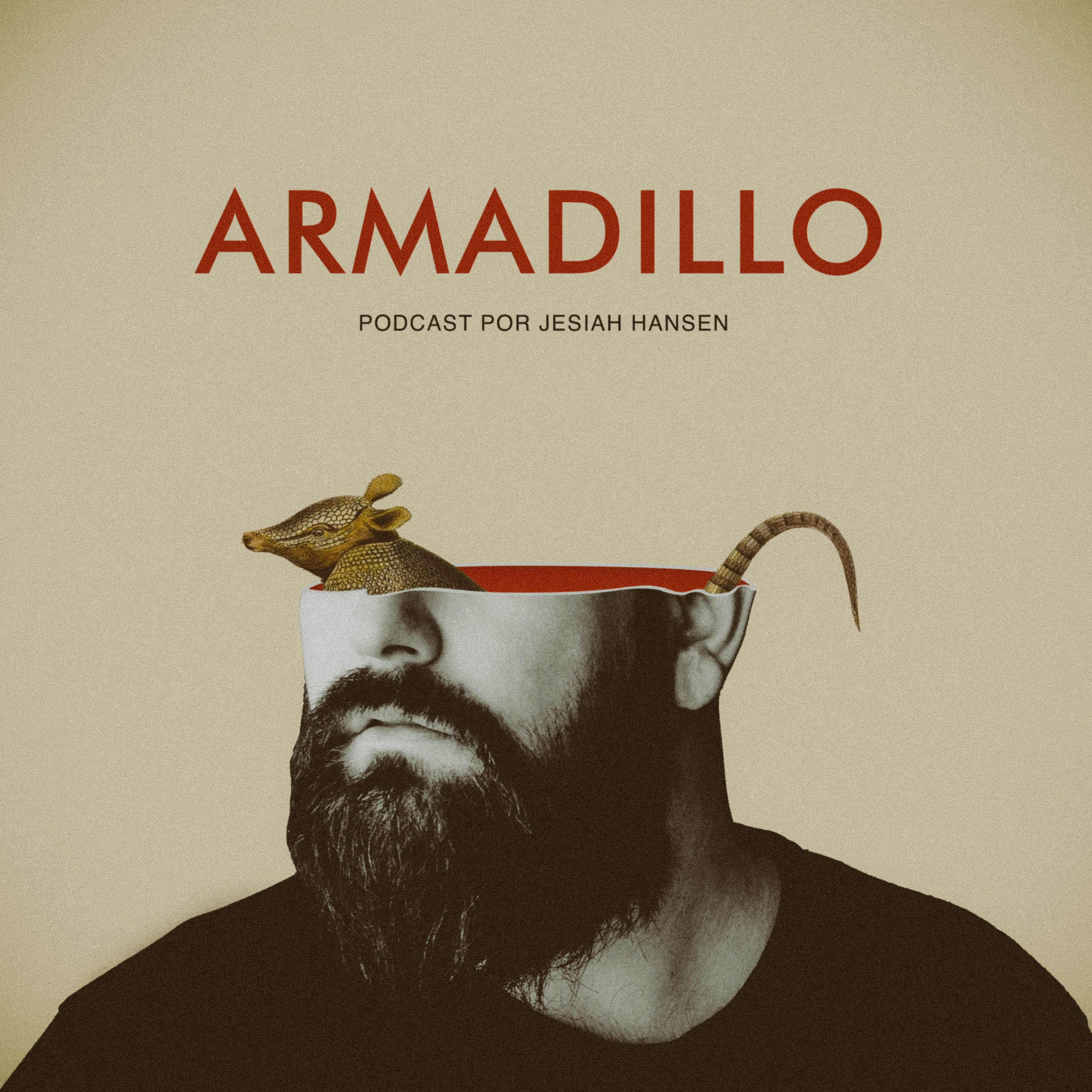 Armadillo 