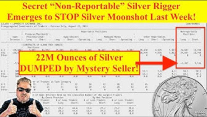 ⁣ALERT! Mystery Silver Price Rigger Emerges as CFTC "Non-Reportable!" Is it Janet Yellen?! (Bix Weir)