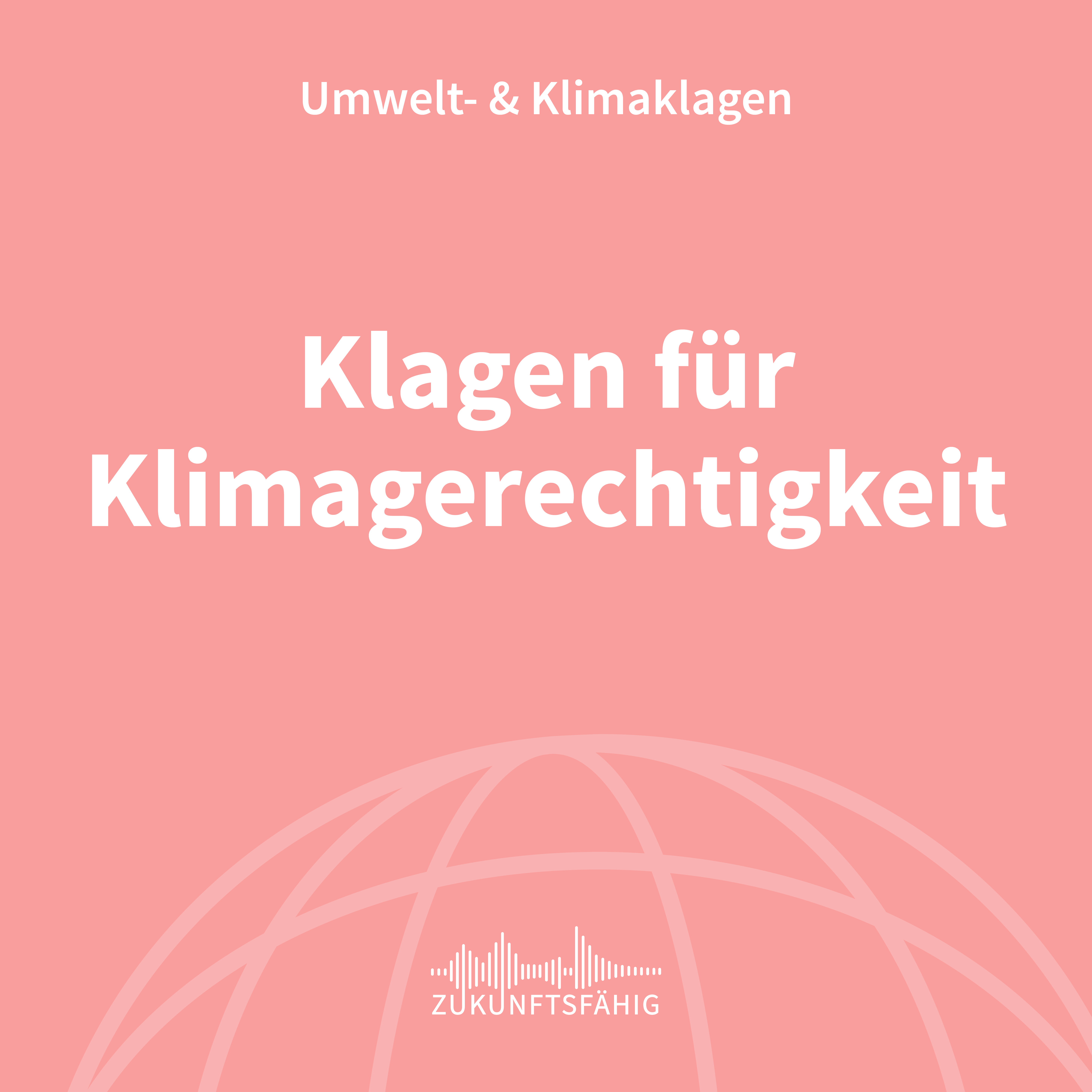 ⁣Mit Klimaklagen unsere Zukunft retten? (Klagen für Klimagerechtigkeit #1)