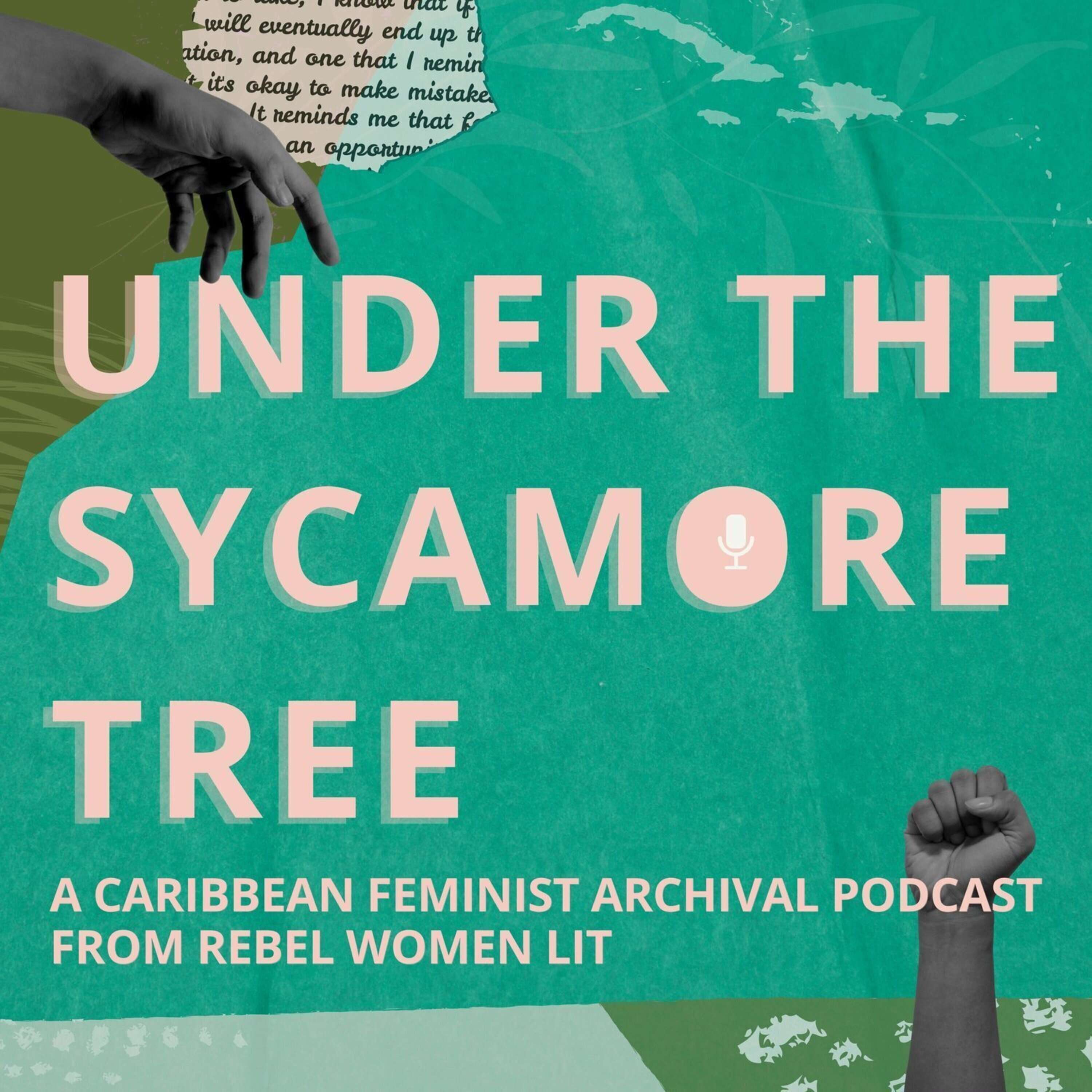 9: Contemplating a Caribbean Rematriation: Indigenous Women’s Organizing