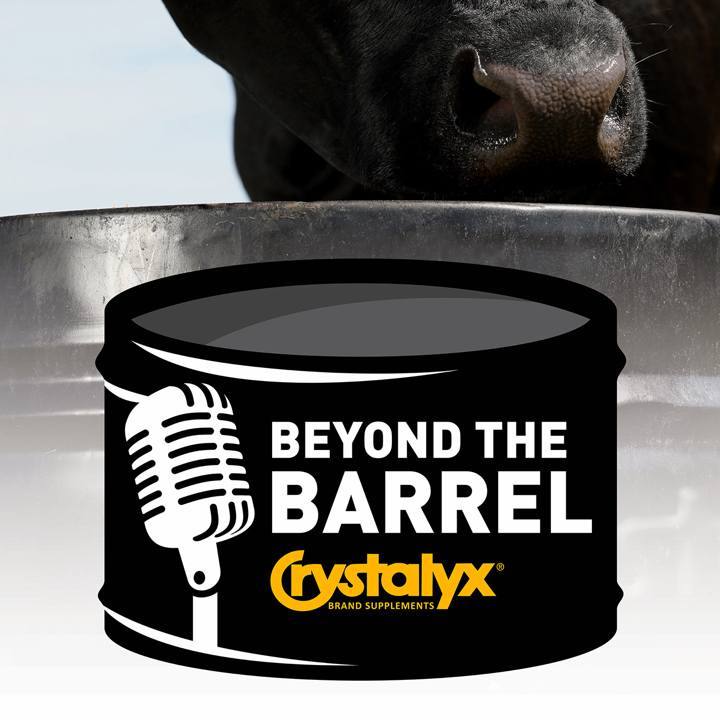 Beyond the Barrel Crystalyx® 