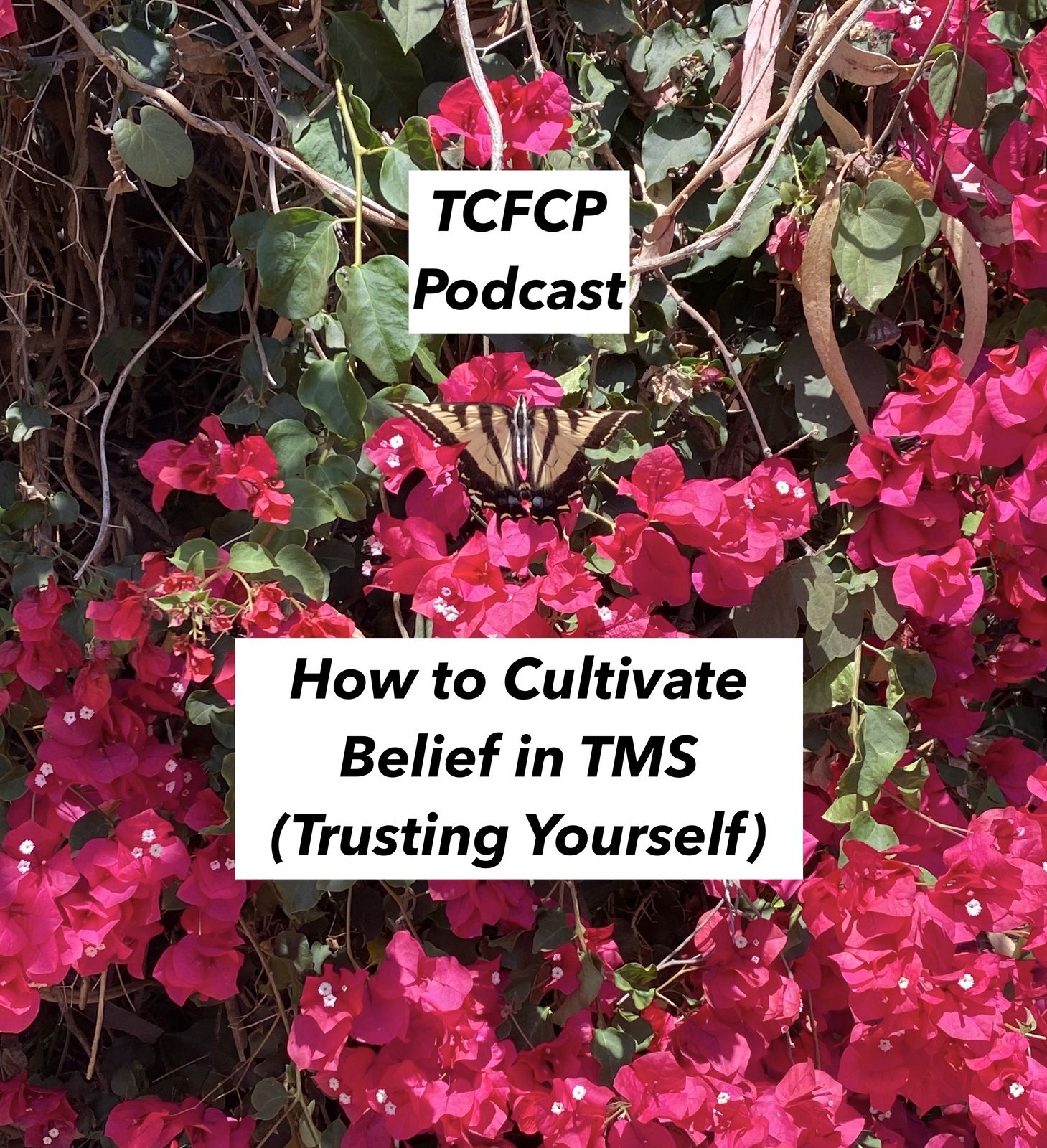 ⁣How to Cultivate Belief in TMS (Trusting Yourself)