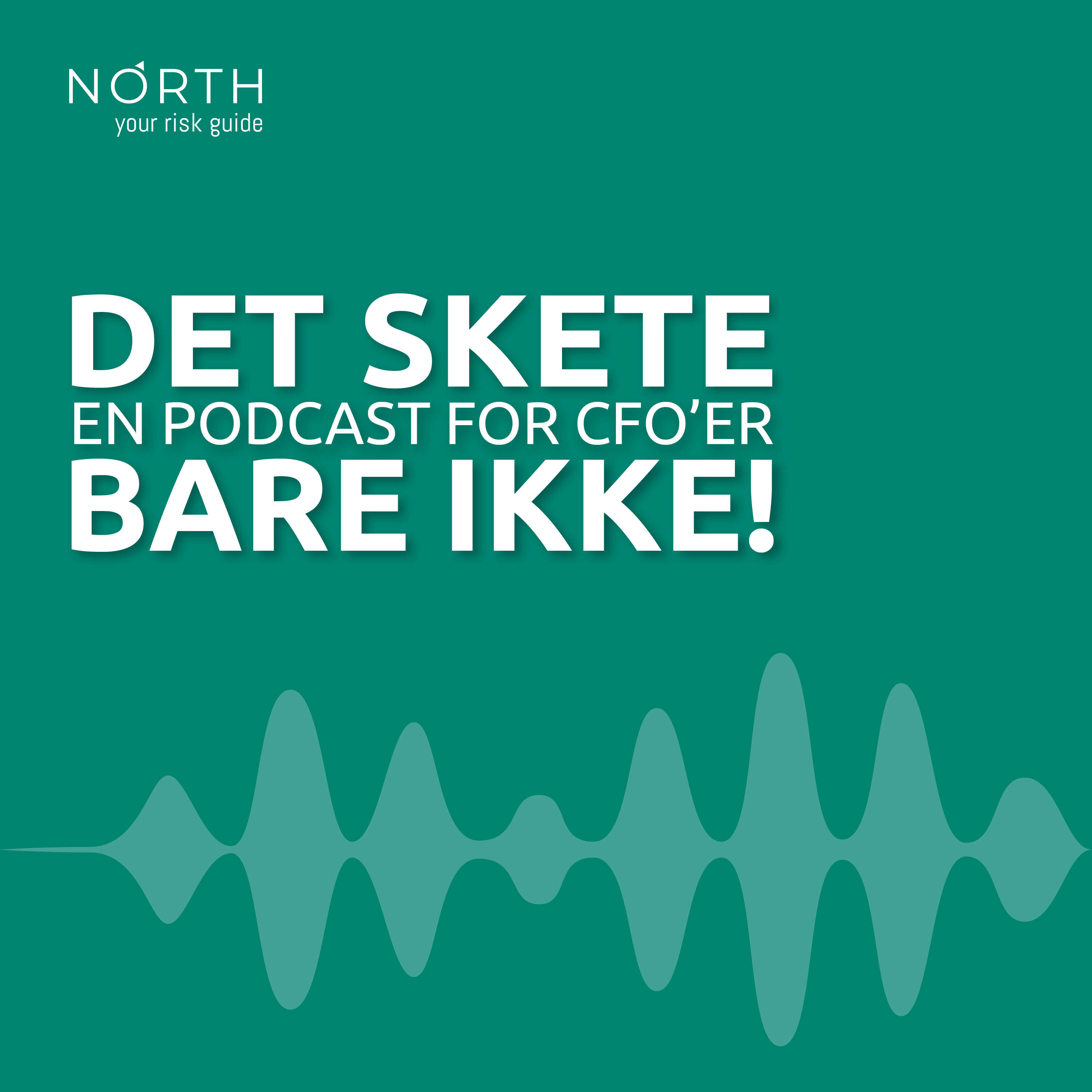 DET SKETE BARE IKKE! - En podcast for CFO'er 