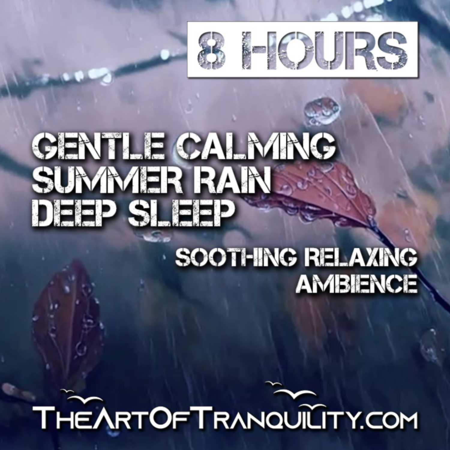 GENTLE CALMING SUMMER RAIN DEEP SLEEP | Soothing Relaxing Ambiance, | 8 Hrs