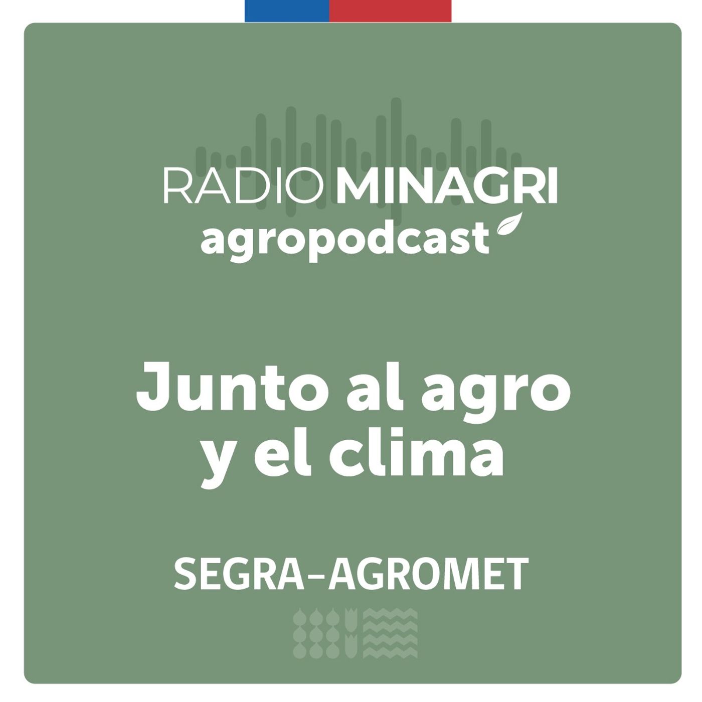 Junto al agro y el clima – Episodio 26: Situación agroclimática del país: Perspectivas ante los últimos temporales