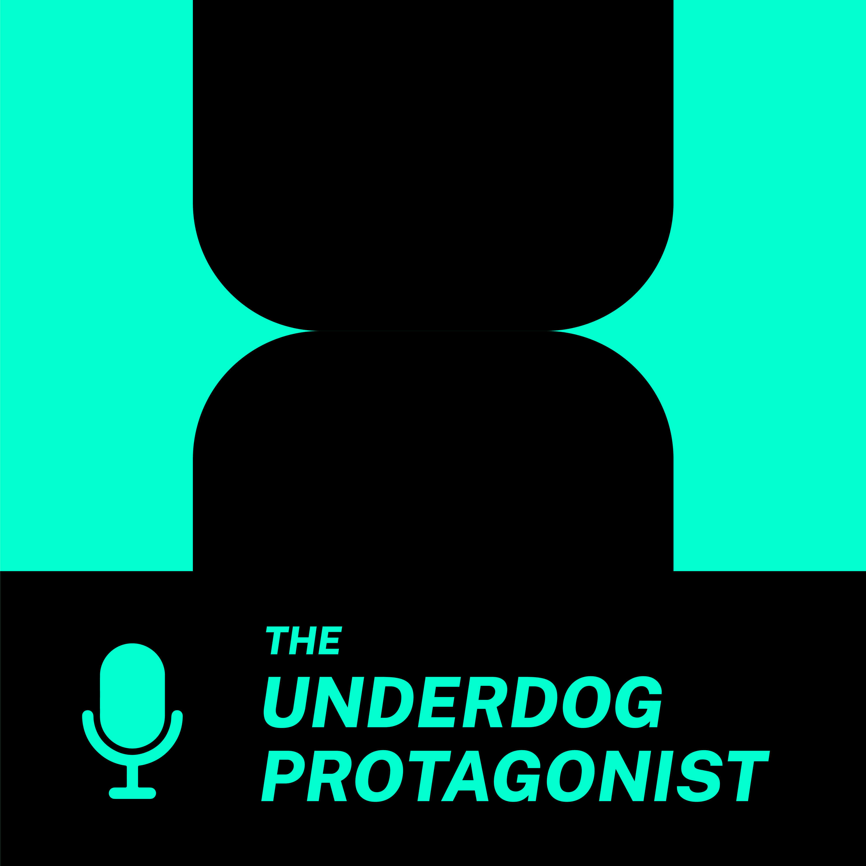 The Underdog Protagonist 