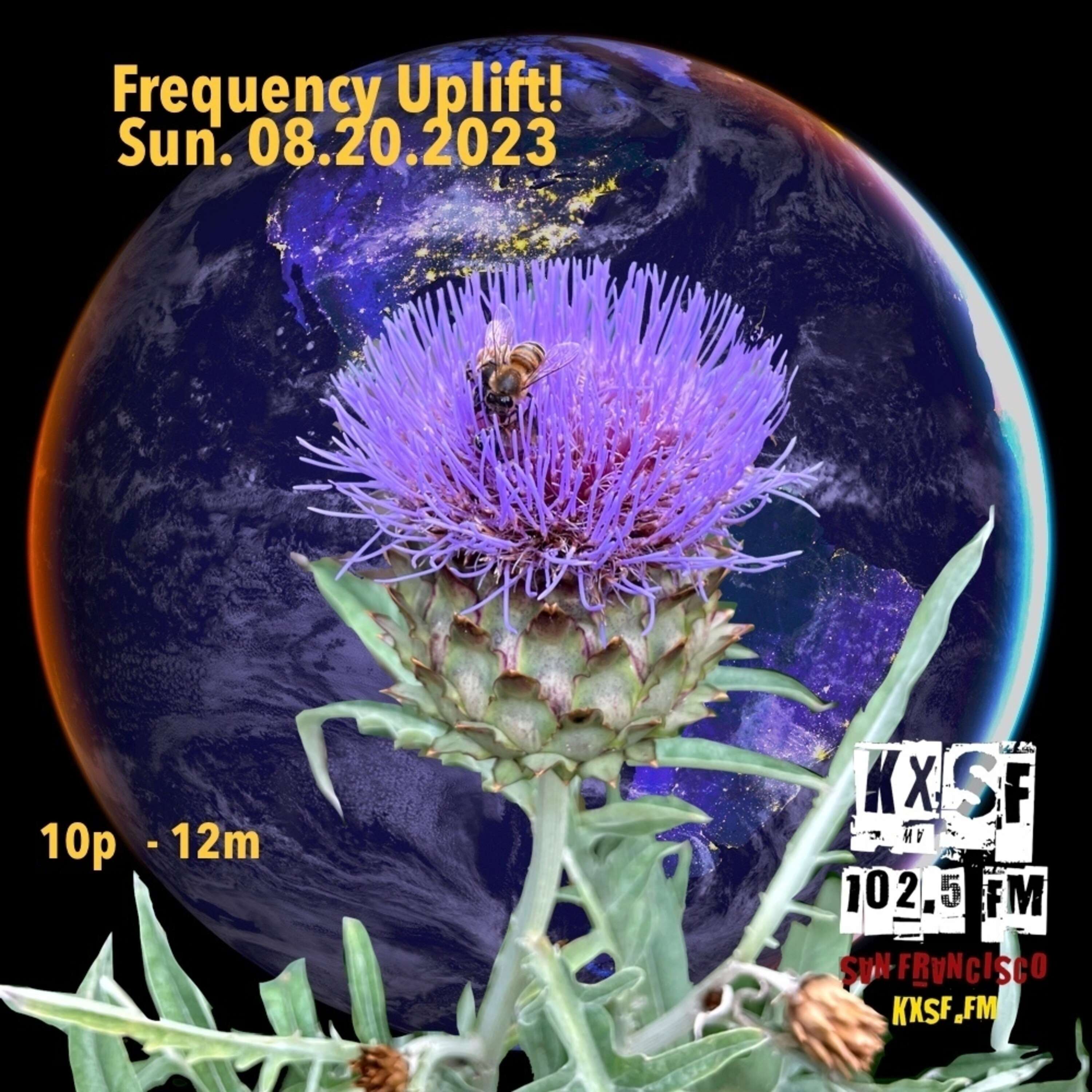 FREQUENCY UPLIFT ! SUN. 08.20.2023 ! First harvests of a new cycle