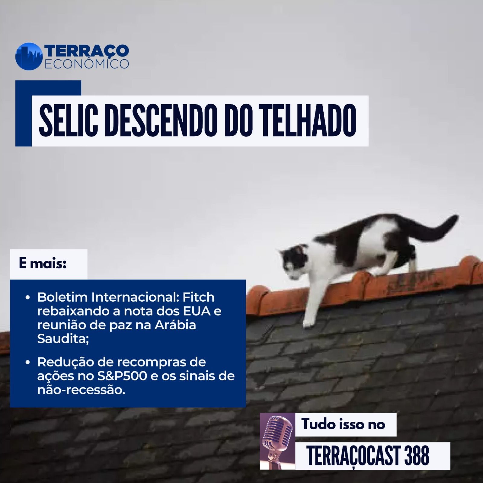 SELIC DESCENDO DO TELHADO no TerraçoCast #388