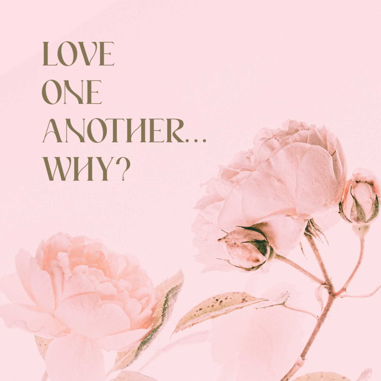 Love One Another... Why? - John 13:18-35 - Paul Gess