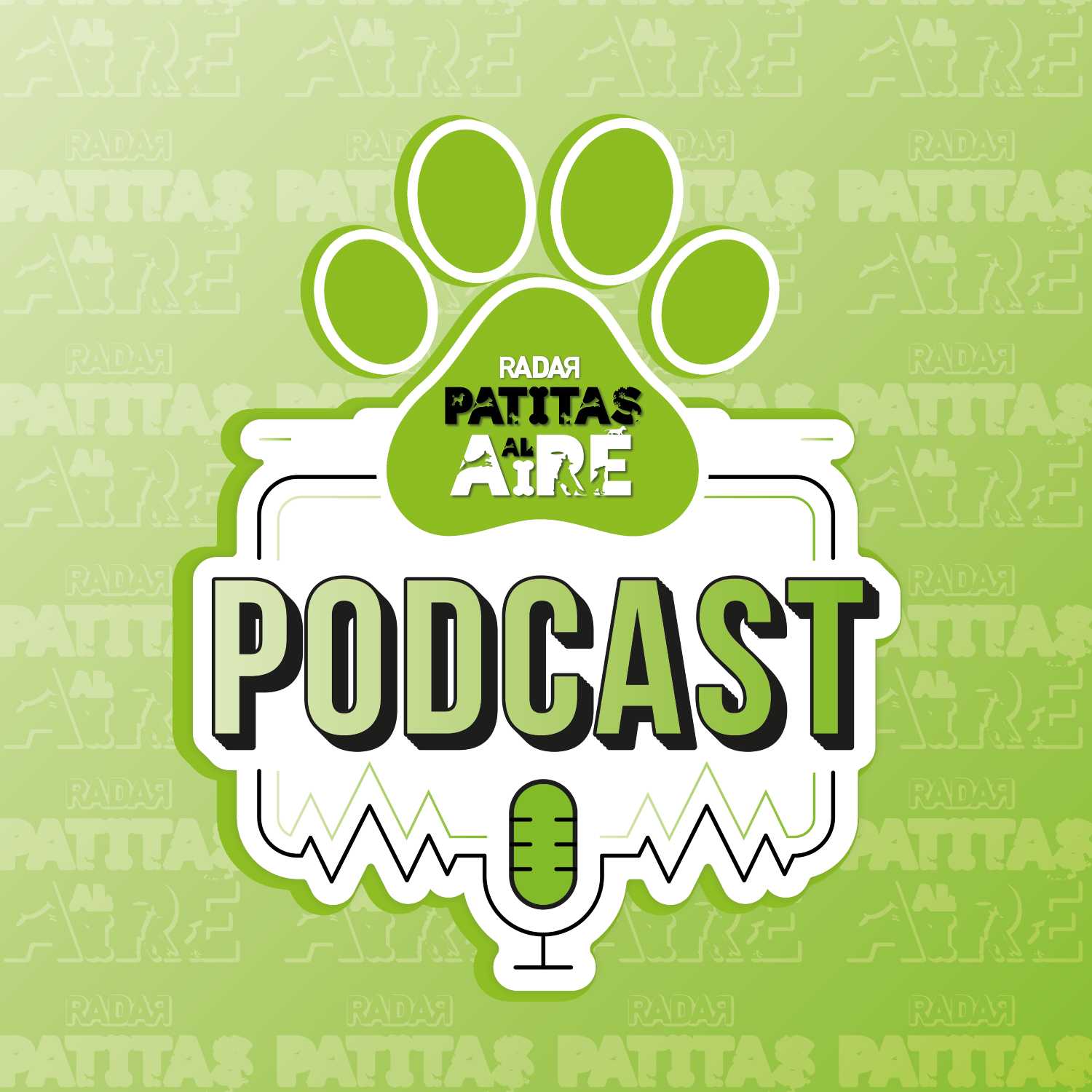 PATITAS AL AIRE: Entrevista con Alicia Carrasco, fundadora y directora de Dog Camp para hablar sobre entrenamientos y cursos caninos