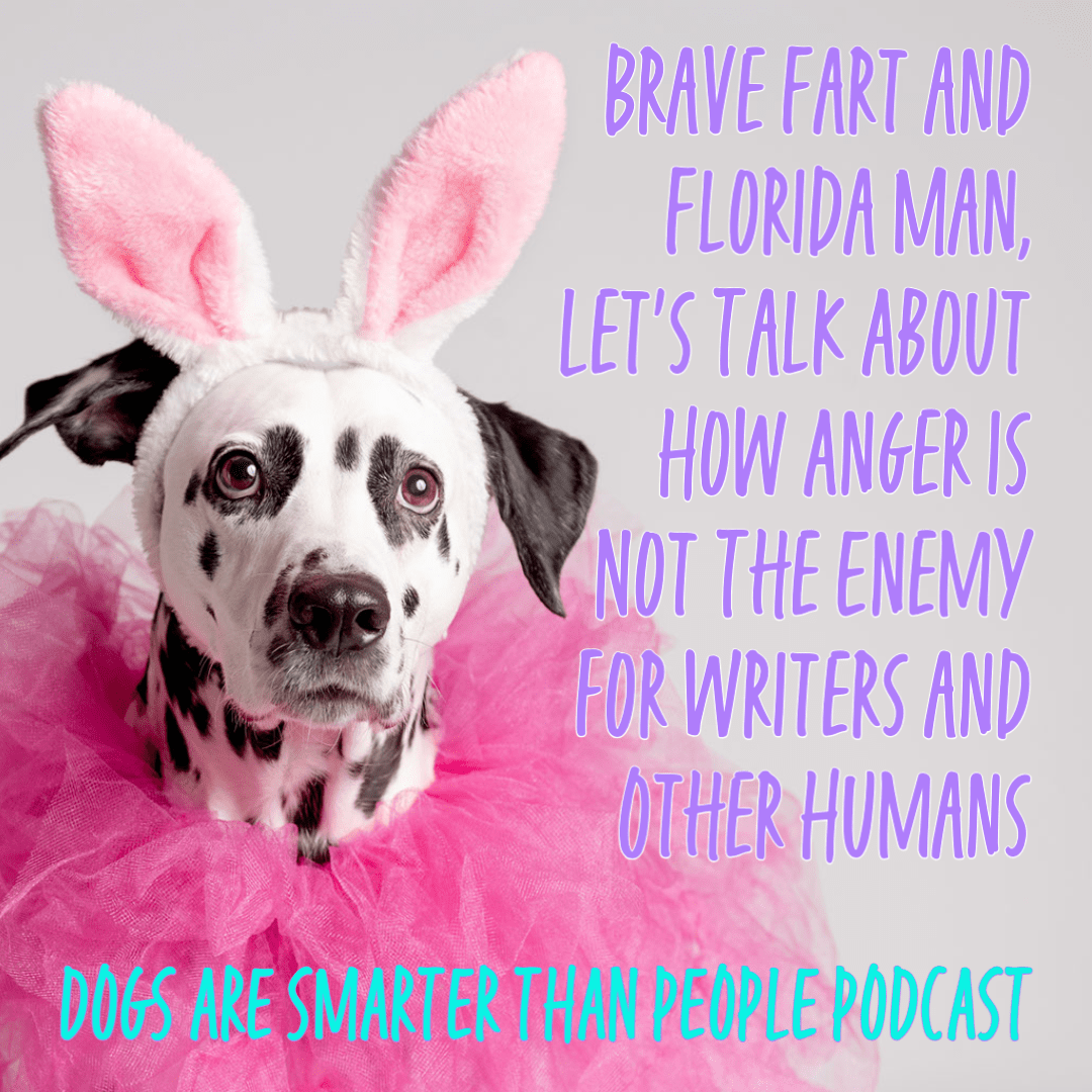 Brave Fart and Florida Man, Let's Talk About How Anger is Not The Enemy for Writers and Other Humans