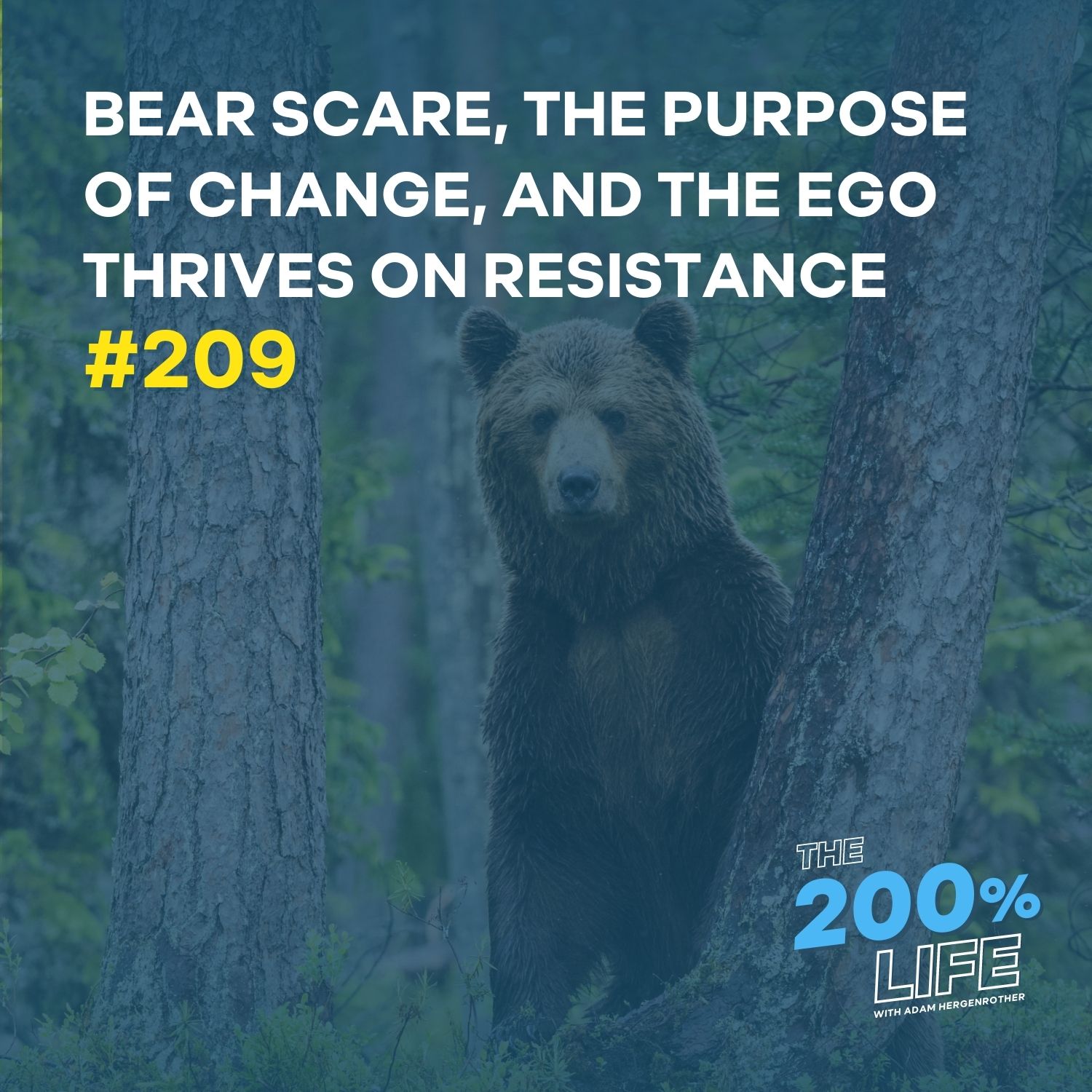 Bear Scare, the Purpose of Change, and the Ego Thrives on Resistance