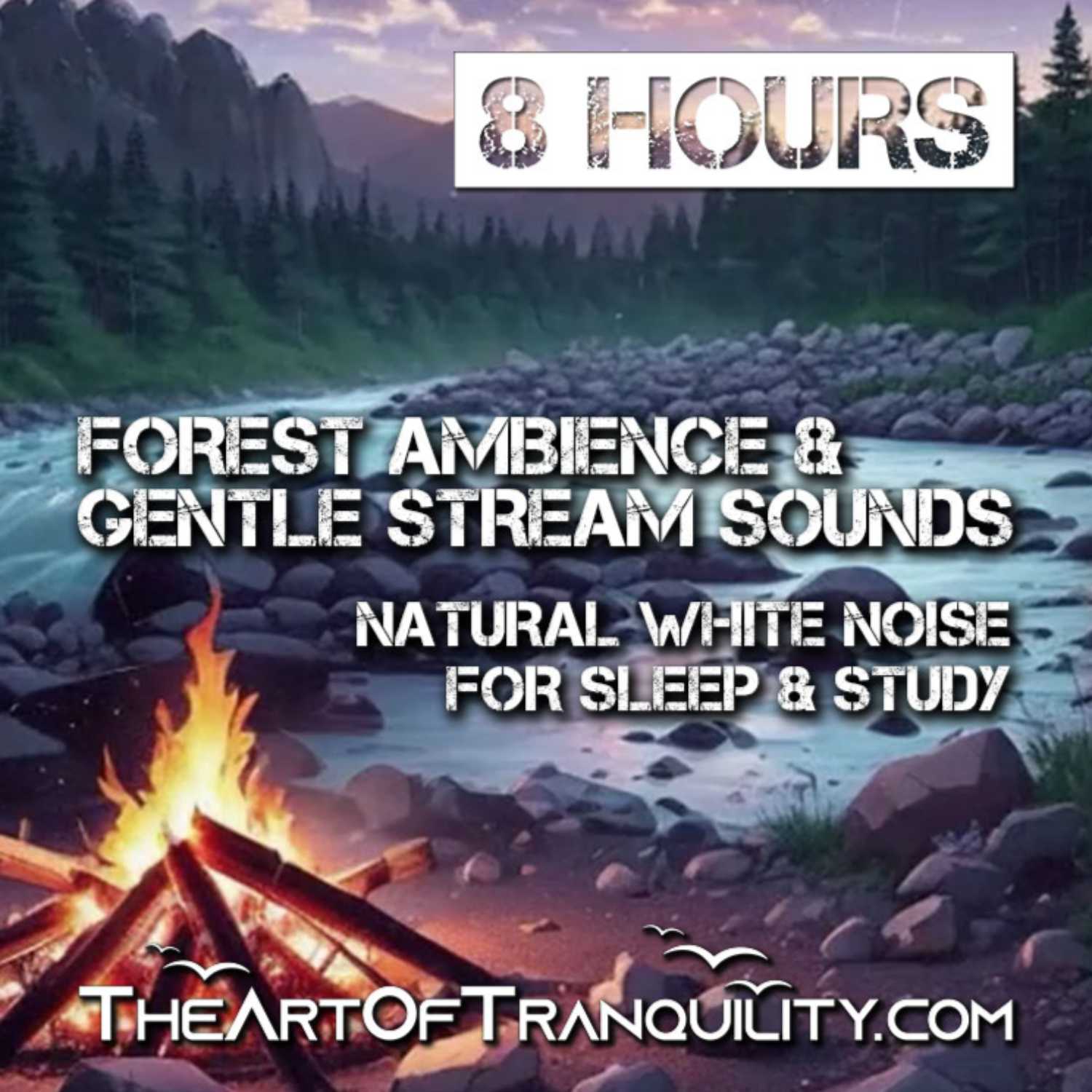 FOREST AMBIENCE & GENTLE STREAM SOUNDS | Drift Off Gently With Soothing Nature Sounds | 8 hrs