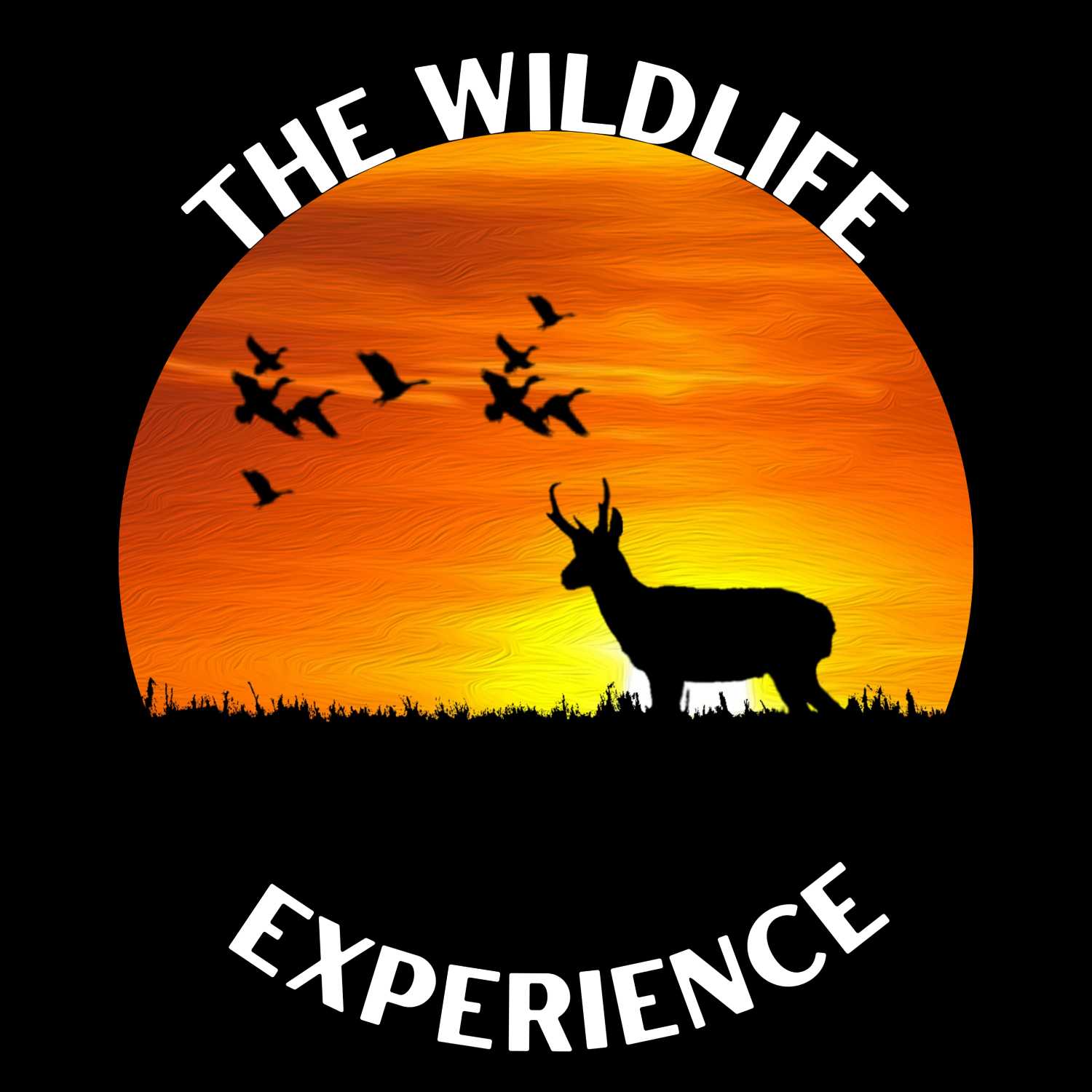 The Wildlife Experience 