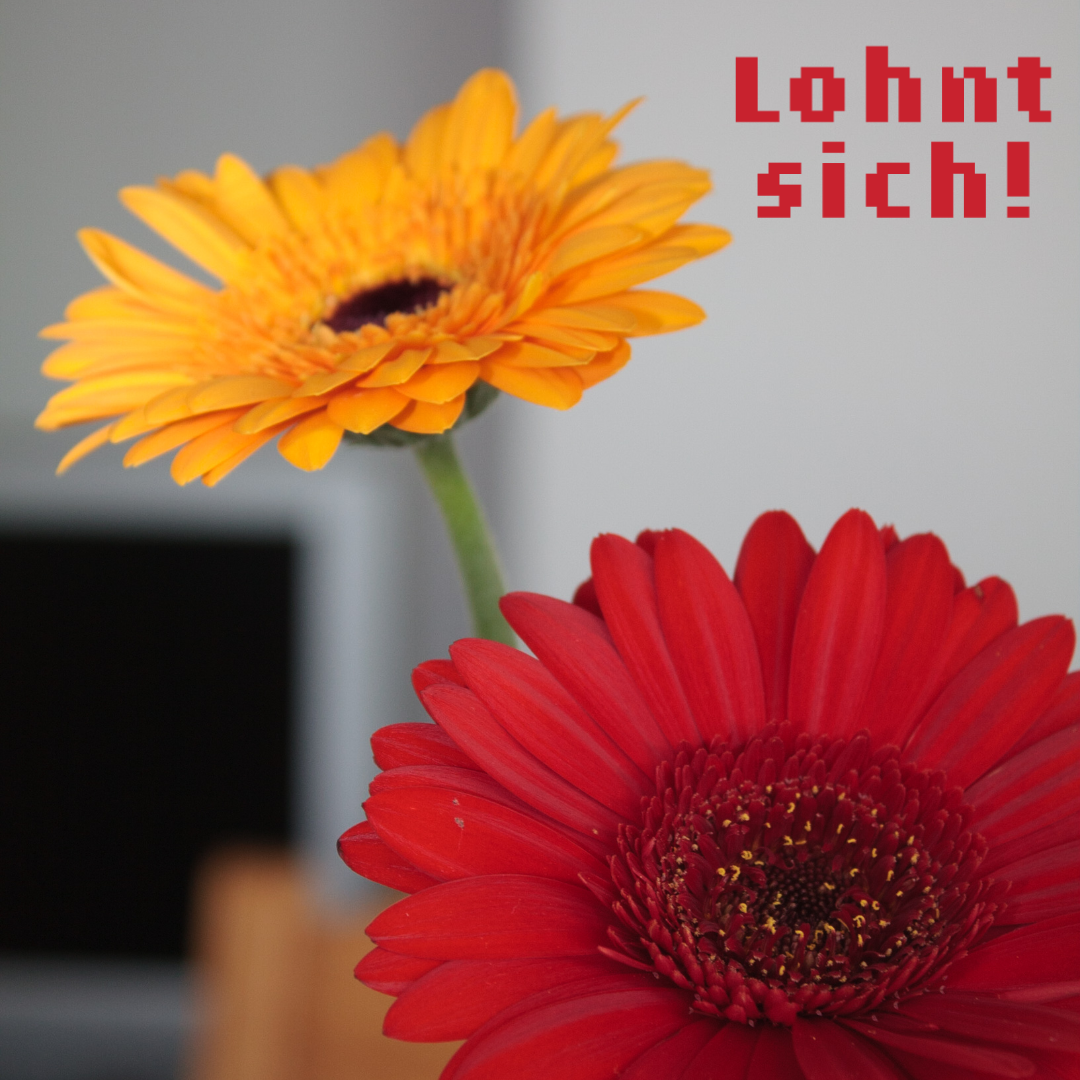 #098 13.08.2023 Lohnt sich!