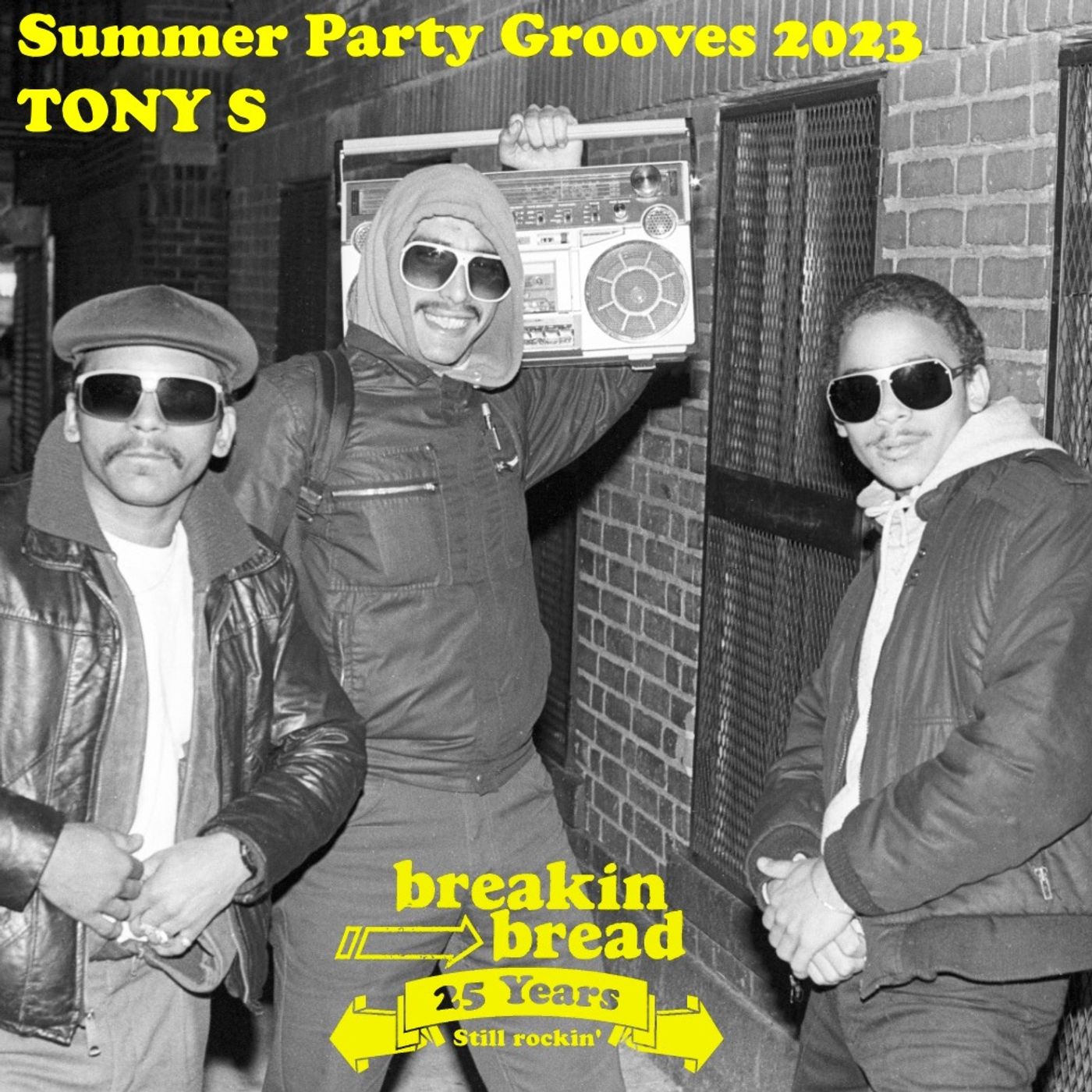 25th Anniversary Summer Party Grooves - Tony S