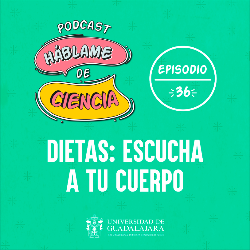 ⁣Dietas: escucha a tu cuerpo