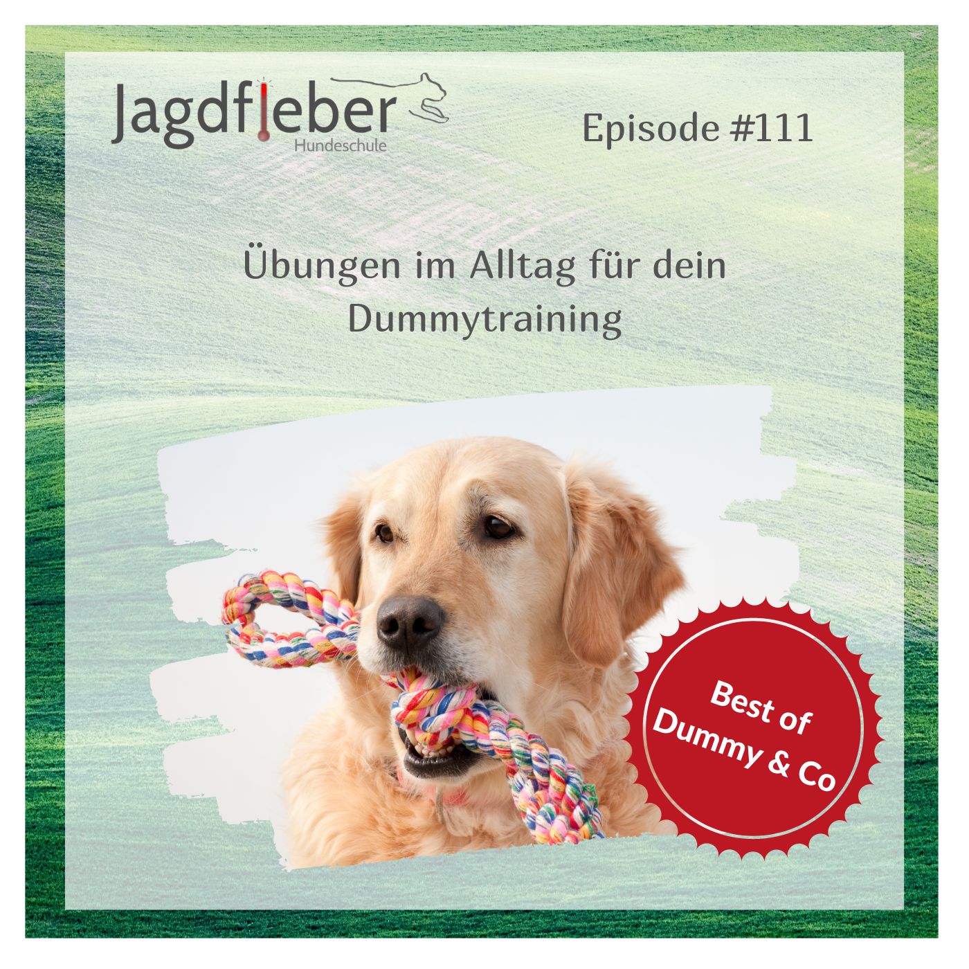 P111: Best of Dummy & Co - Übungen im Alltag für dein Dummytraining