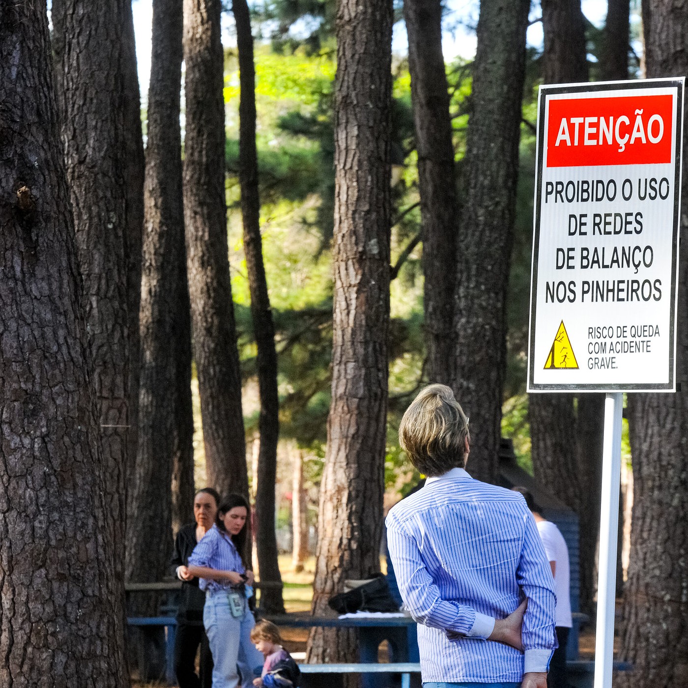 Parque da Cidade com novo perfil paisagístico