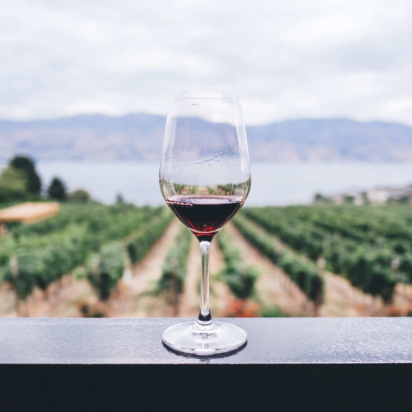 Discover The Secrets Of Healthier Wine