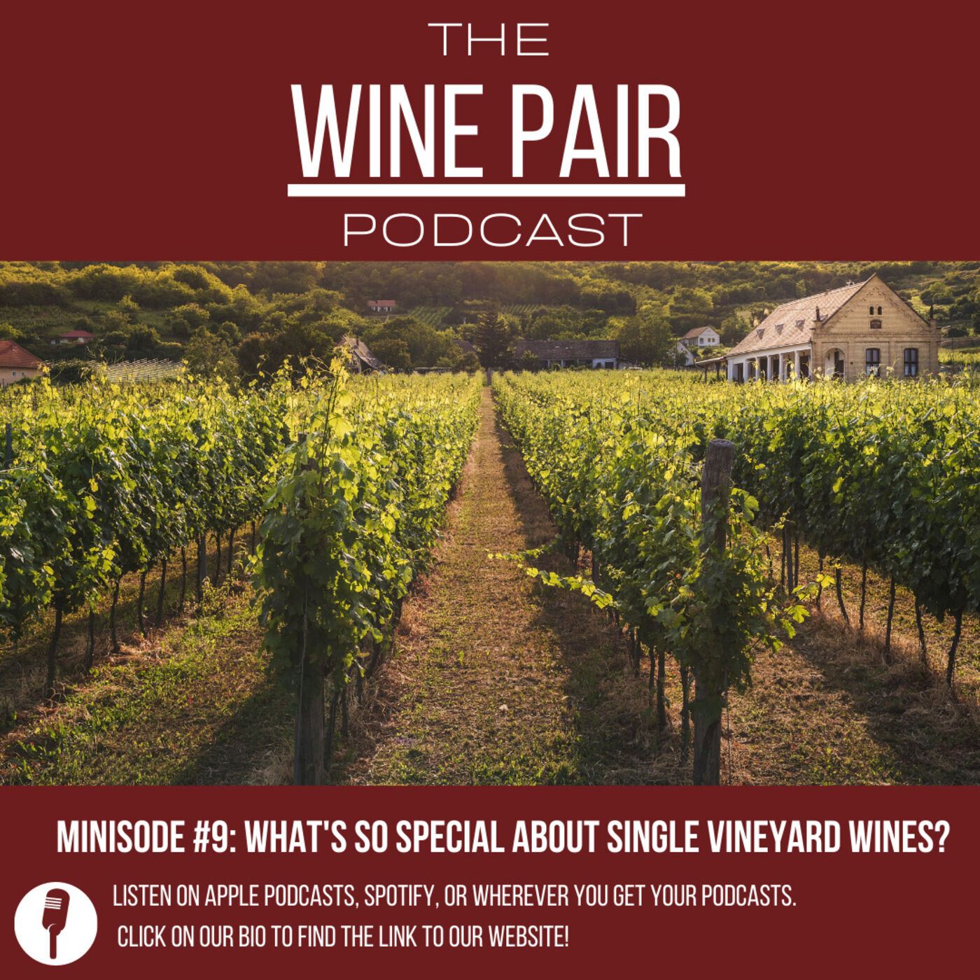 Minisode #9: What's So Special About Single Vineyard Wines?