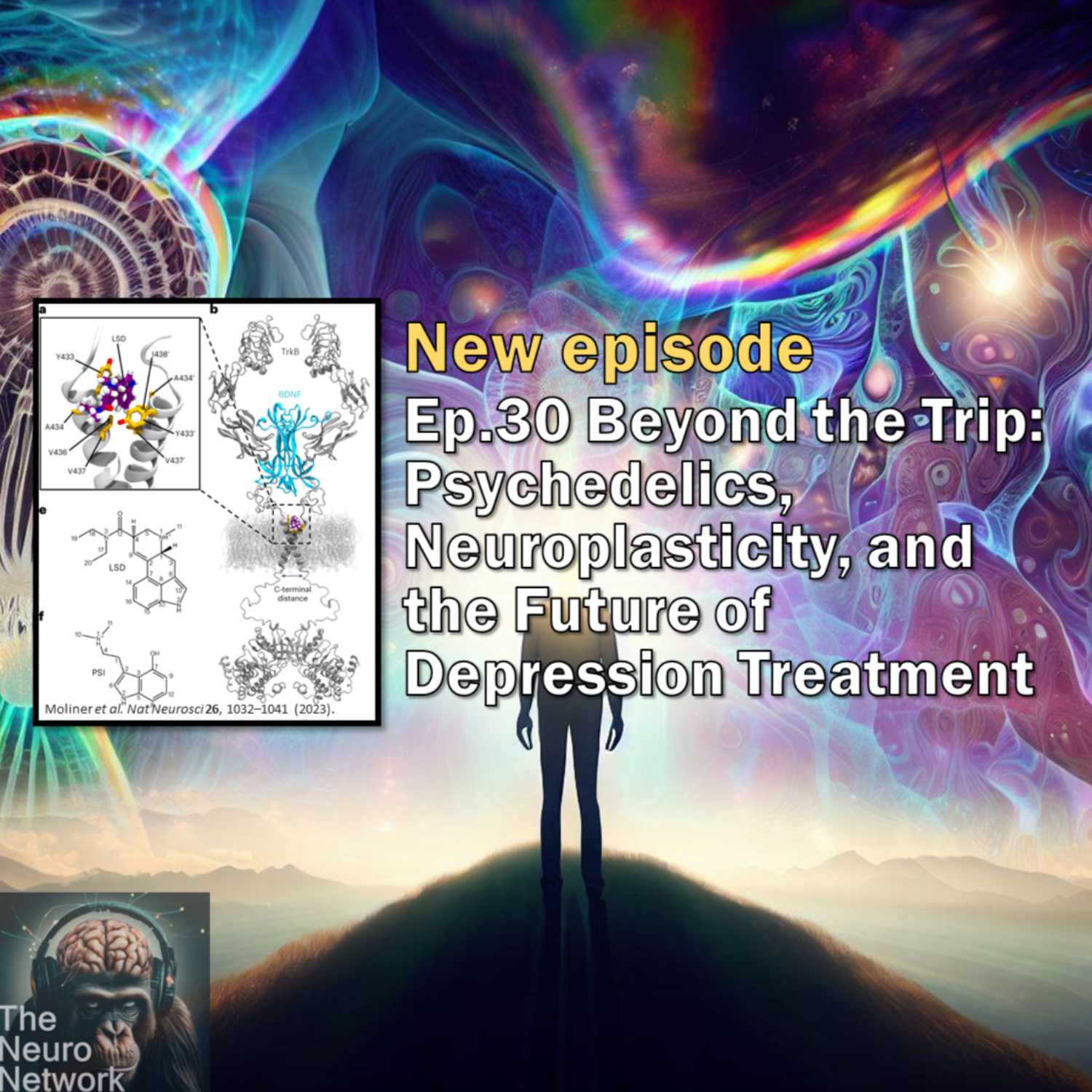 Ep.30 Beyond the Trip: Psychedelics, Neuroplasticity, and the Future of Depression Treatment