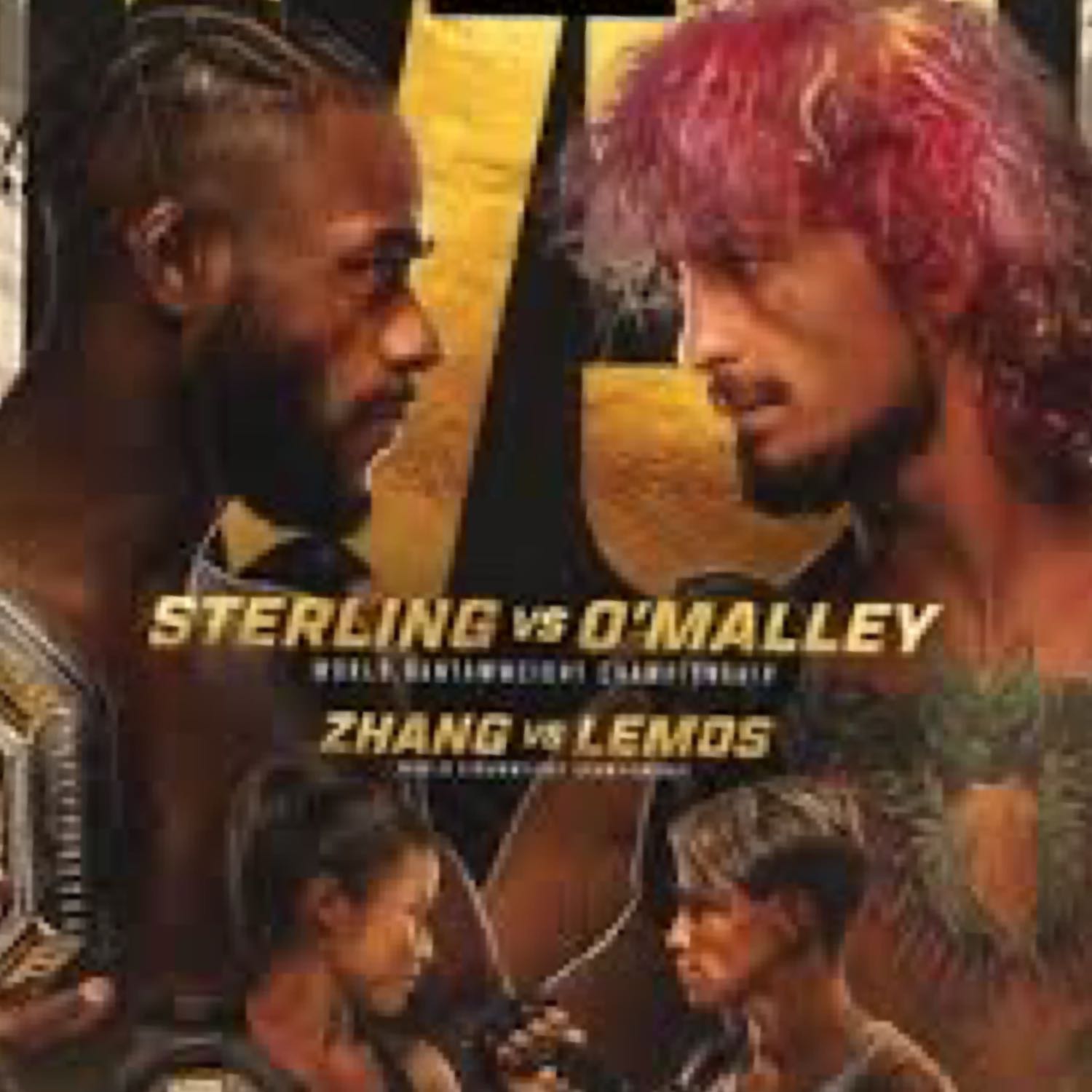 Episode 32: UFC 292 preview 