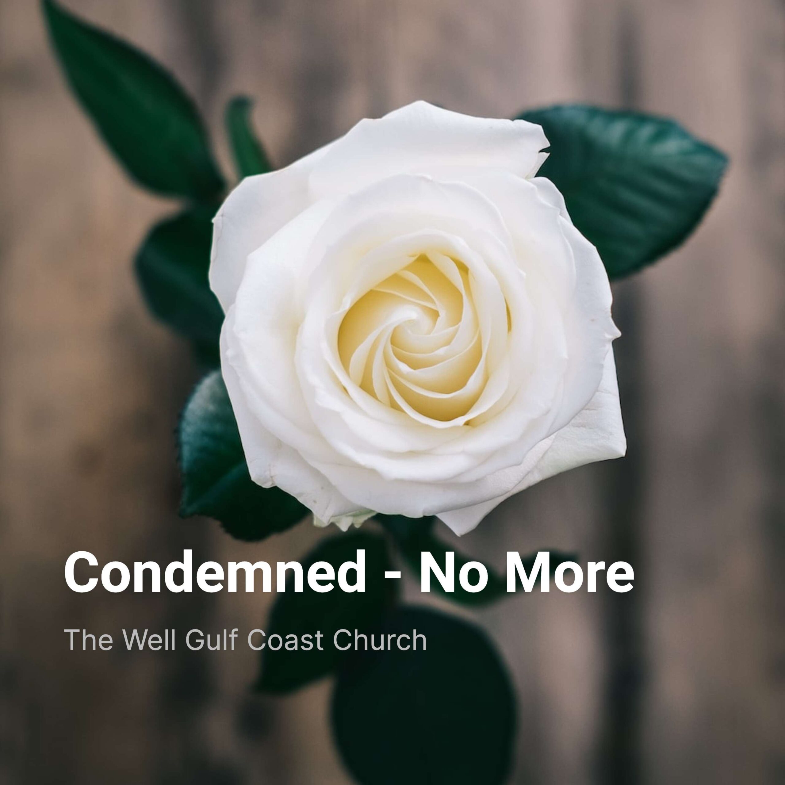 ⁣Condemned – No More