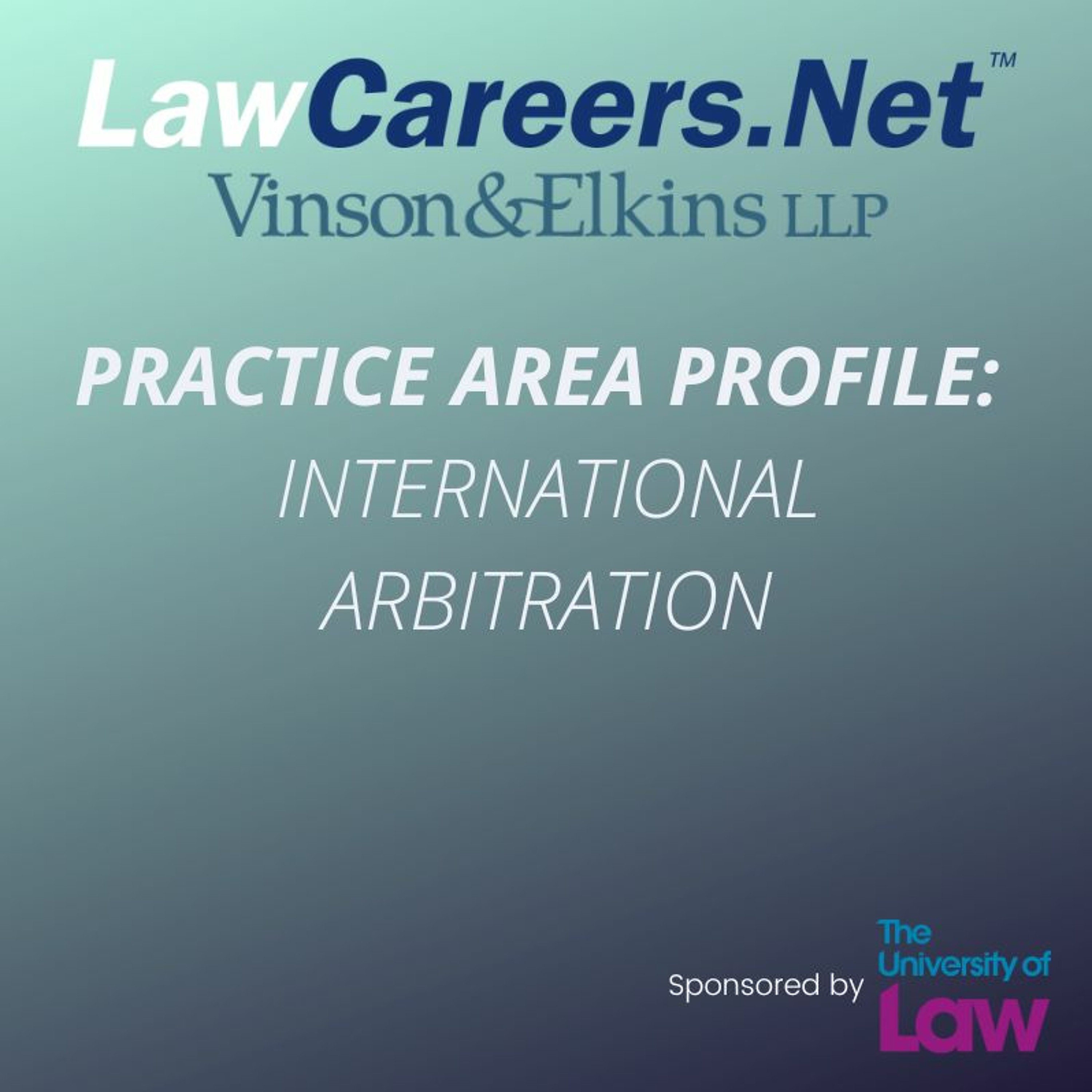 ⁣Practice Area Profile: international arbitration – with Vinson & Elkins RLLP