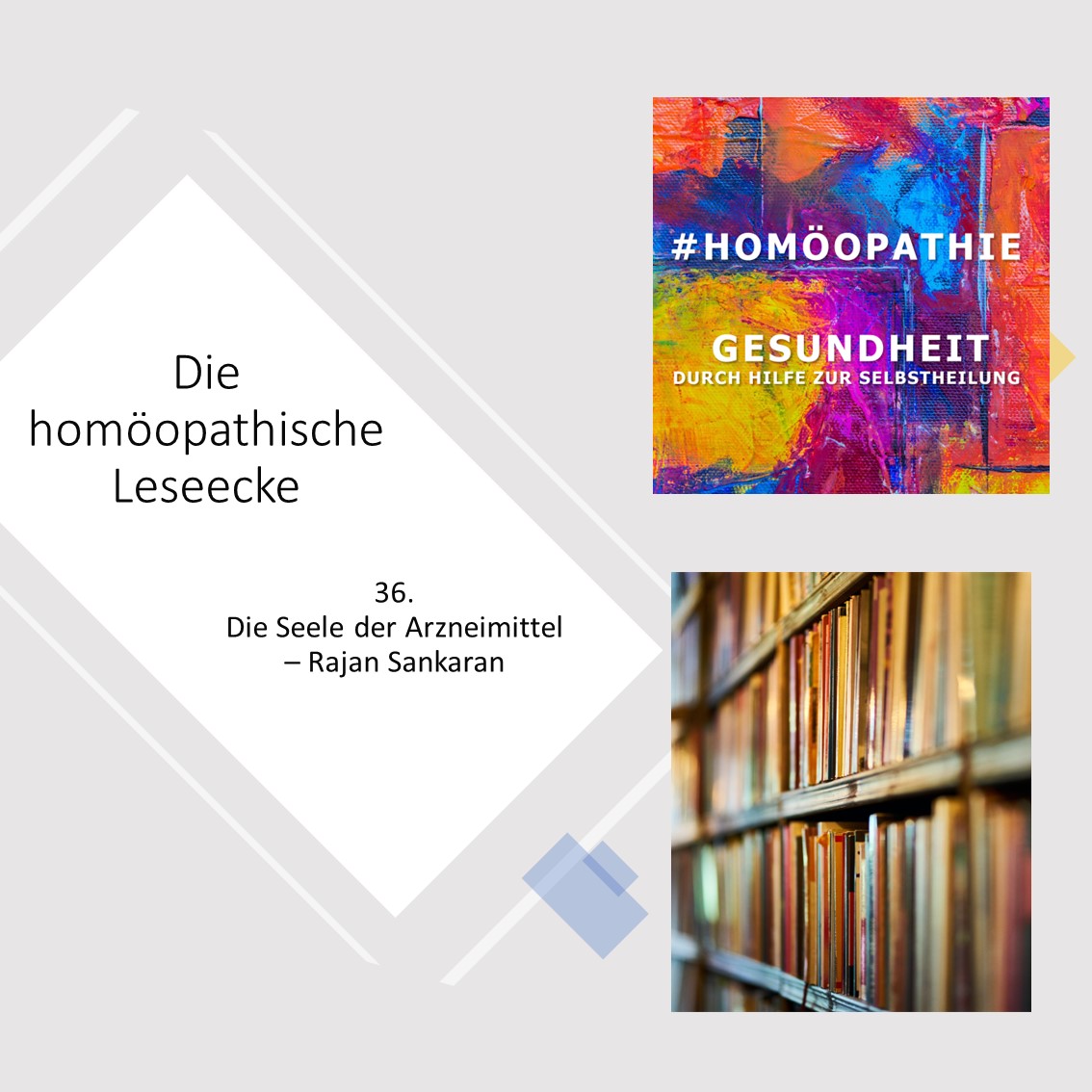 Die Seele der Heilmittel - Rajan Sankaran