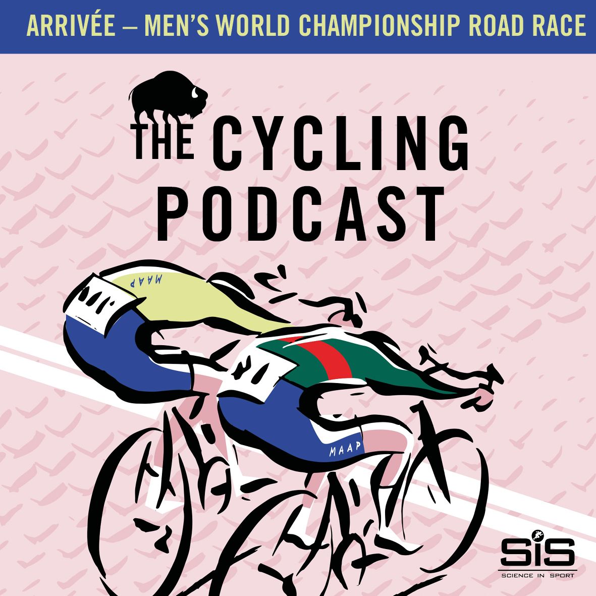 Arrivée | Men's World Championship Road Race