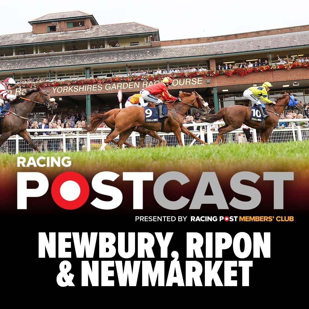 Newbury, Ripon & Newmarket Preview | Horse Racing Tips | Racing Postcast