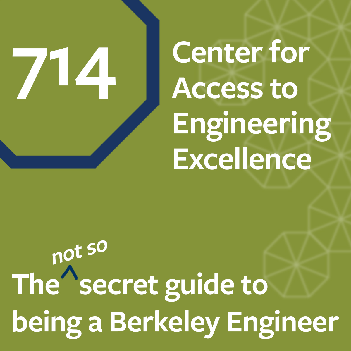 ⁣ESS 714: Center for Access to Engineering Excellence