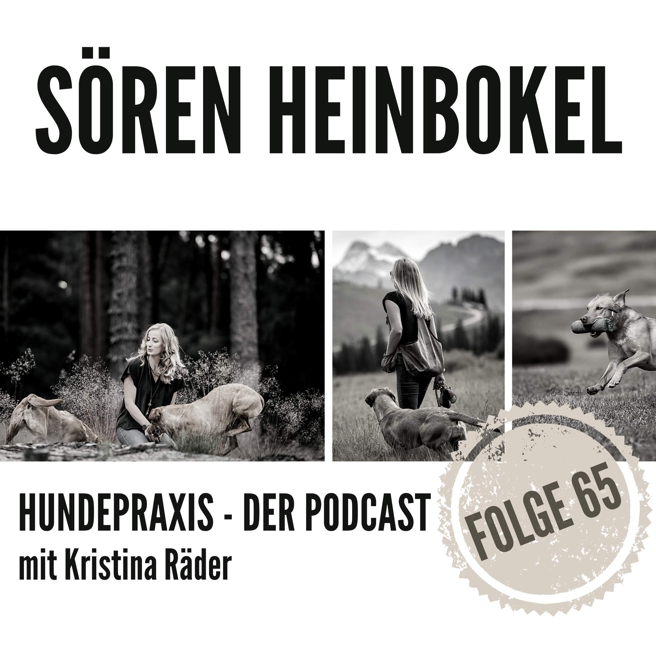 Was Kleben und Hunde miteinander zu tun haben?